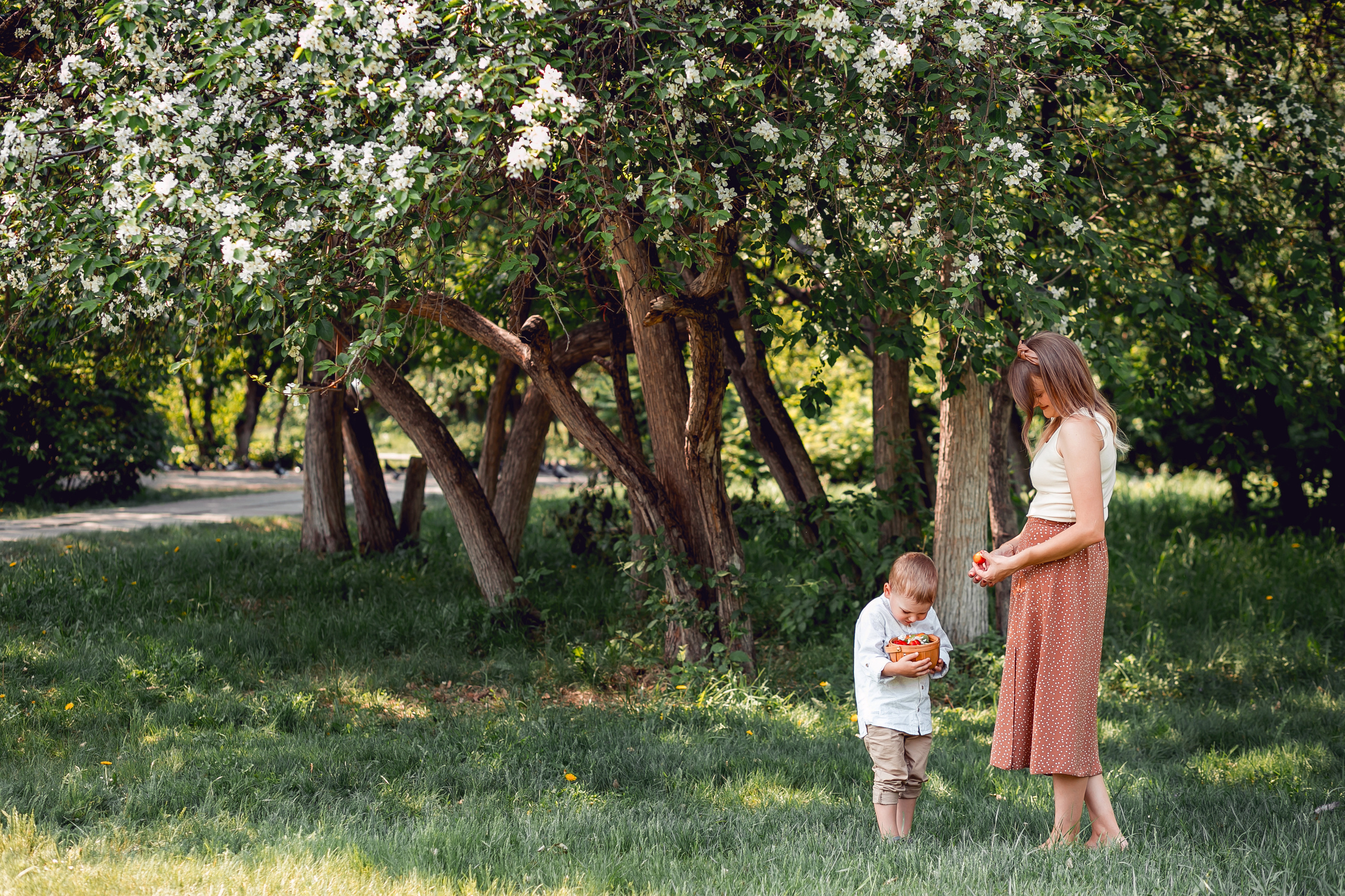 Сквер «Семейный»). Фотограф в  г. Новосибирск