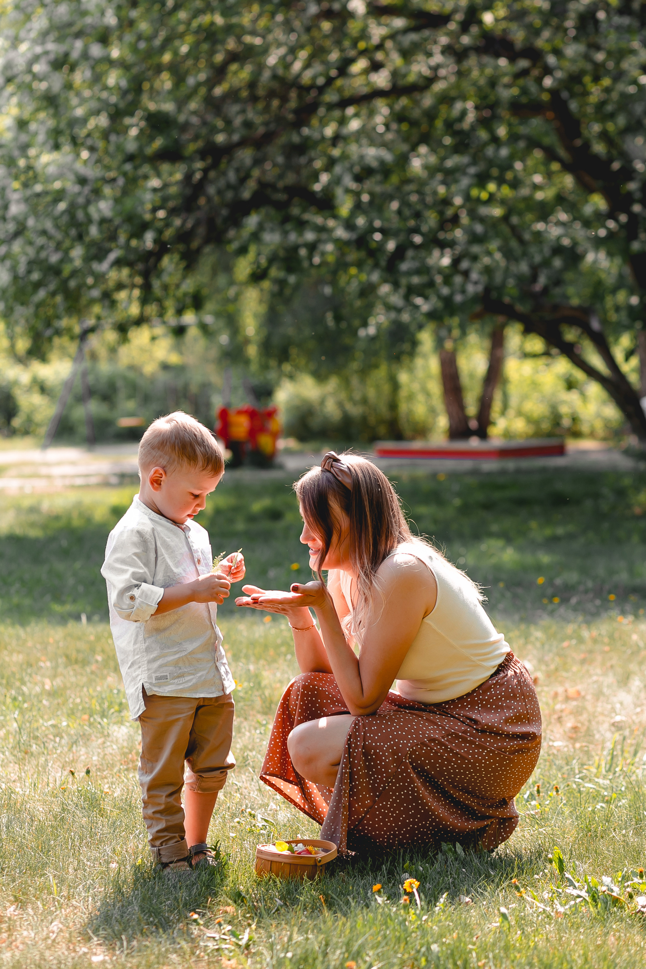 Сквер «Семейный»). Фотограф в  г. Новосибирск