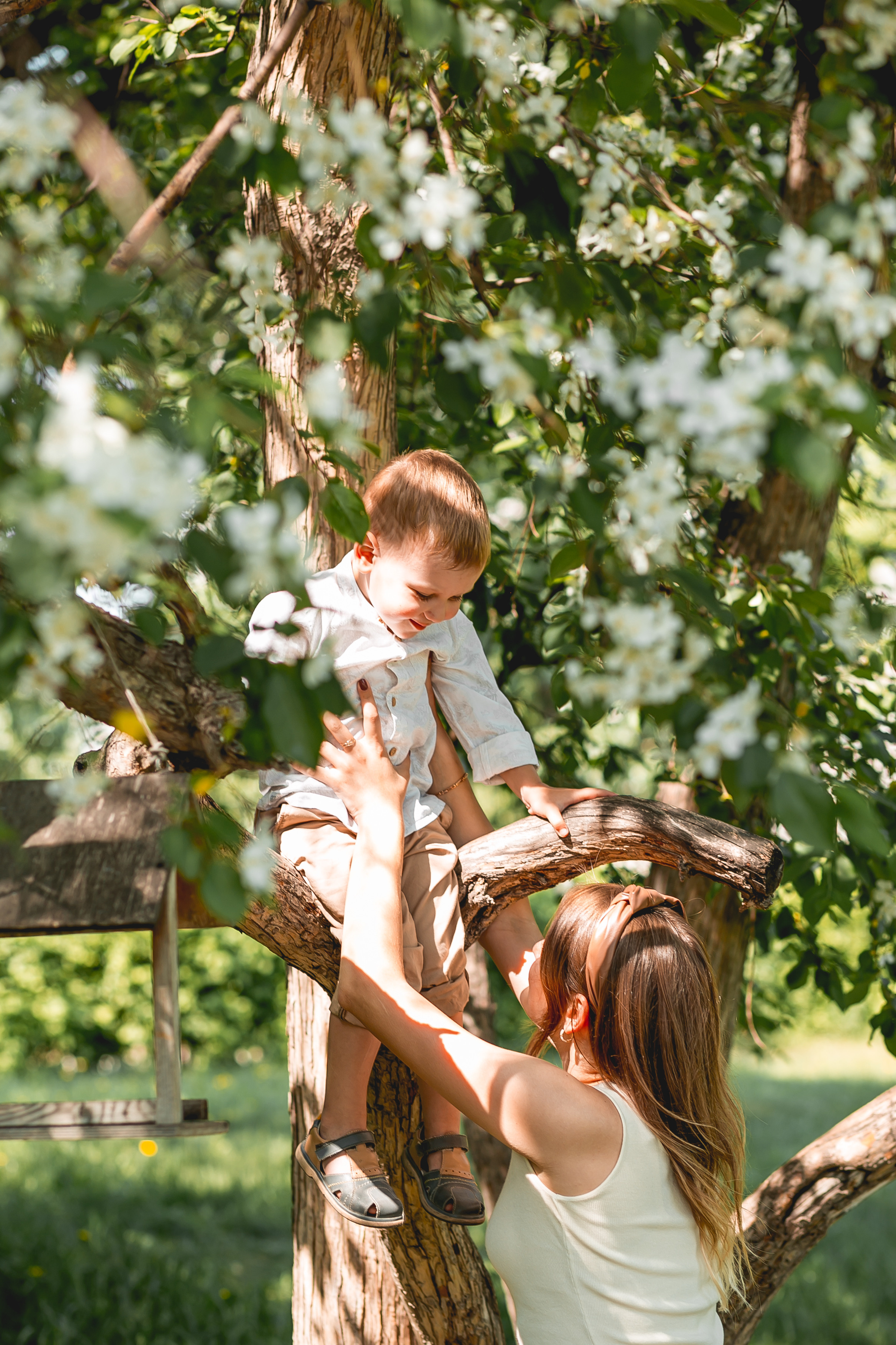 Сквер «Семейный»). Фотограф в  г. Новосибирск