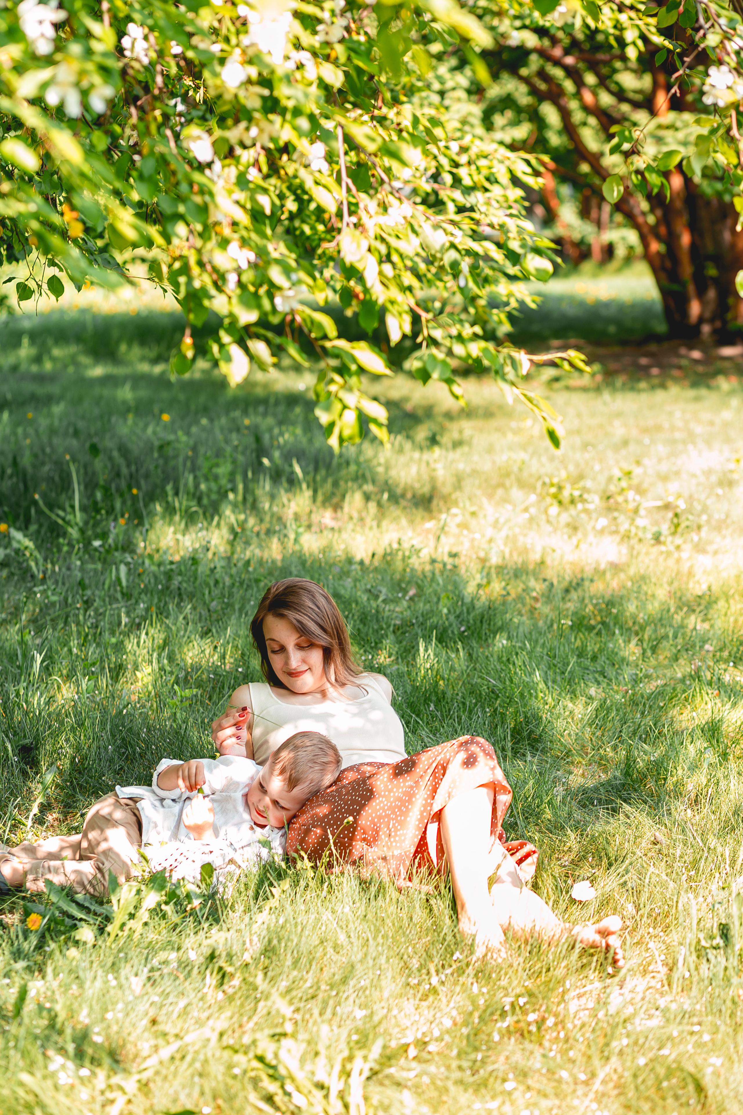Сквер «Семейный»). Фотограф в  г. Новосибирск