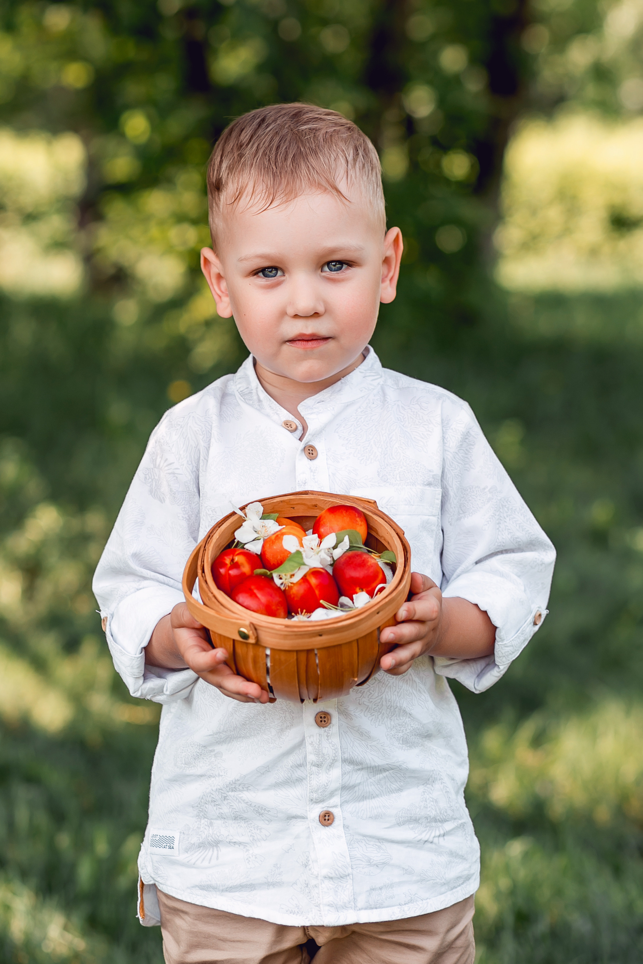 Сквер «Семейный»). Фотограф в  г. Новосибирск