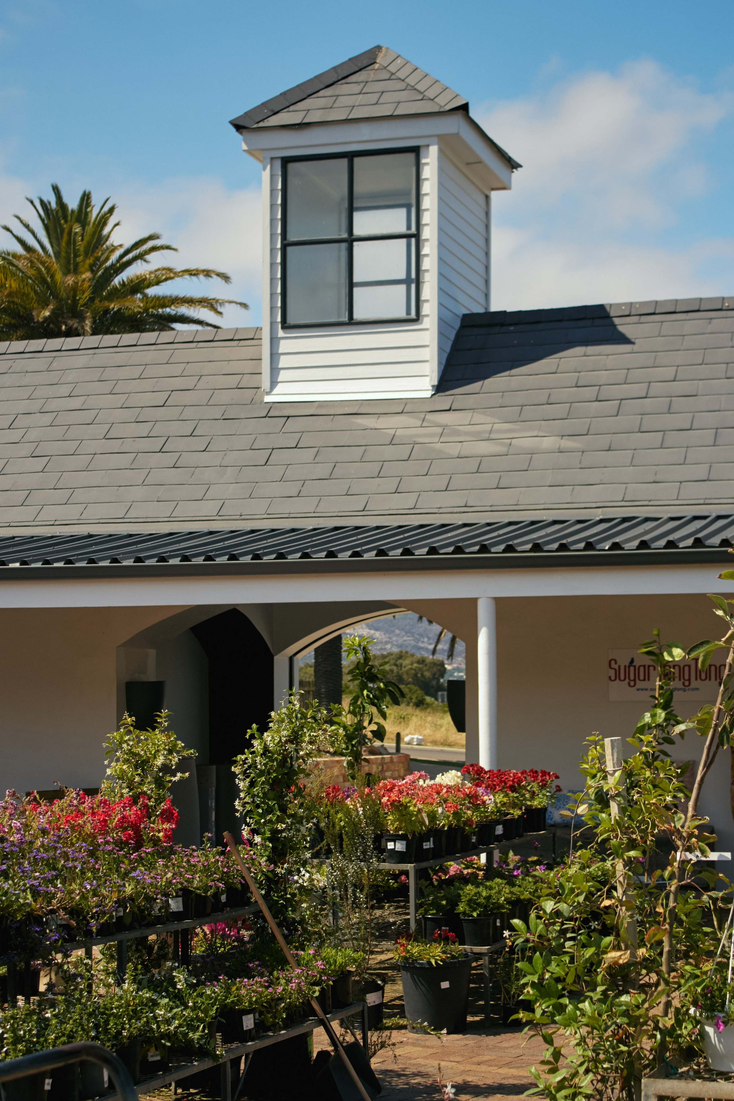 ЮАР. Профессиональный Фотограф во Владимире, в Москве и в Суздале — Полина Романычева