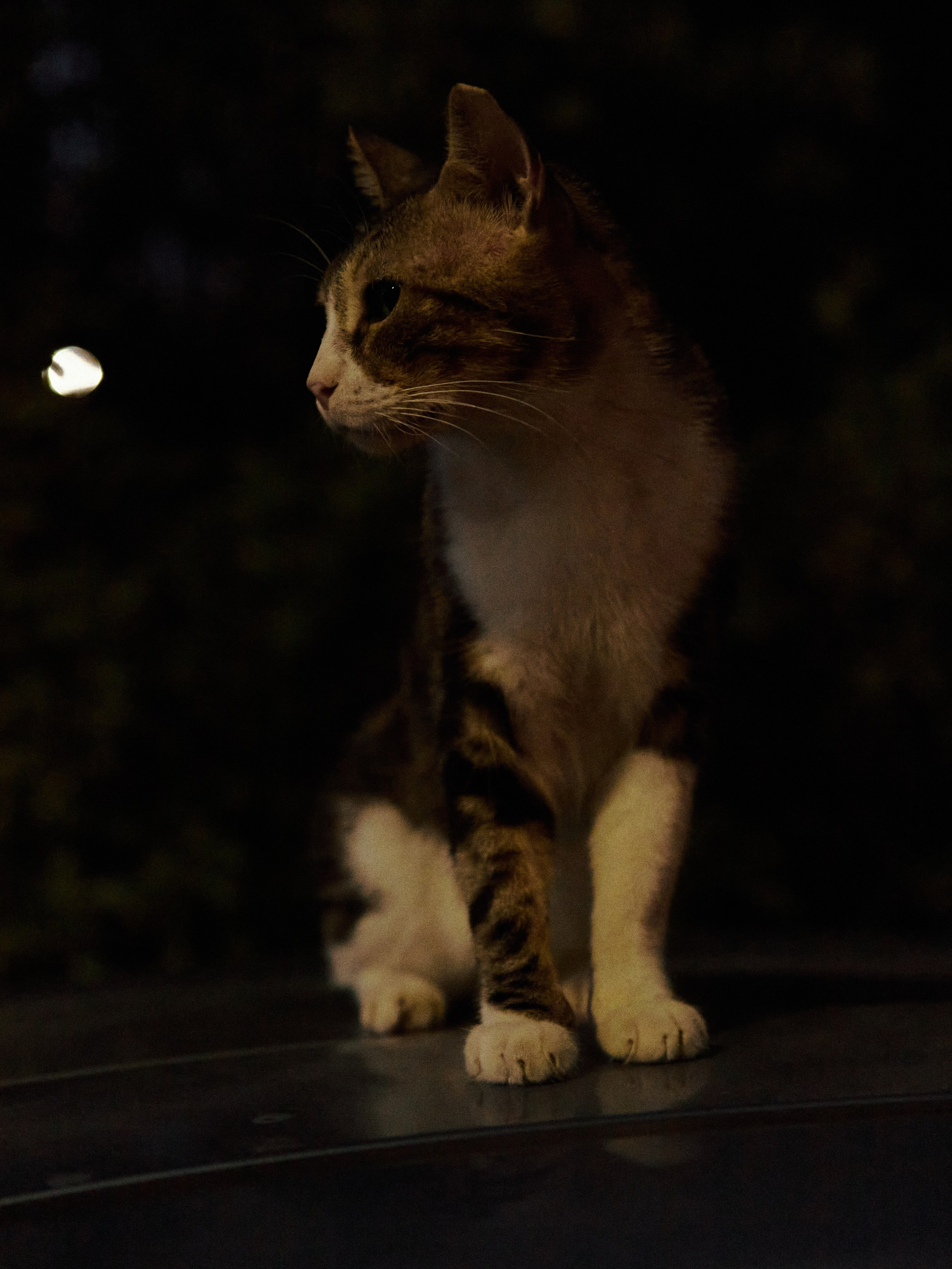 Другое 2. Jorgis Talè — photographer, kind person, teacher of arts and other mag