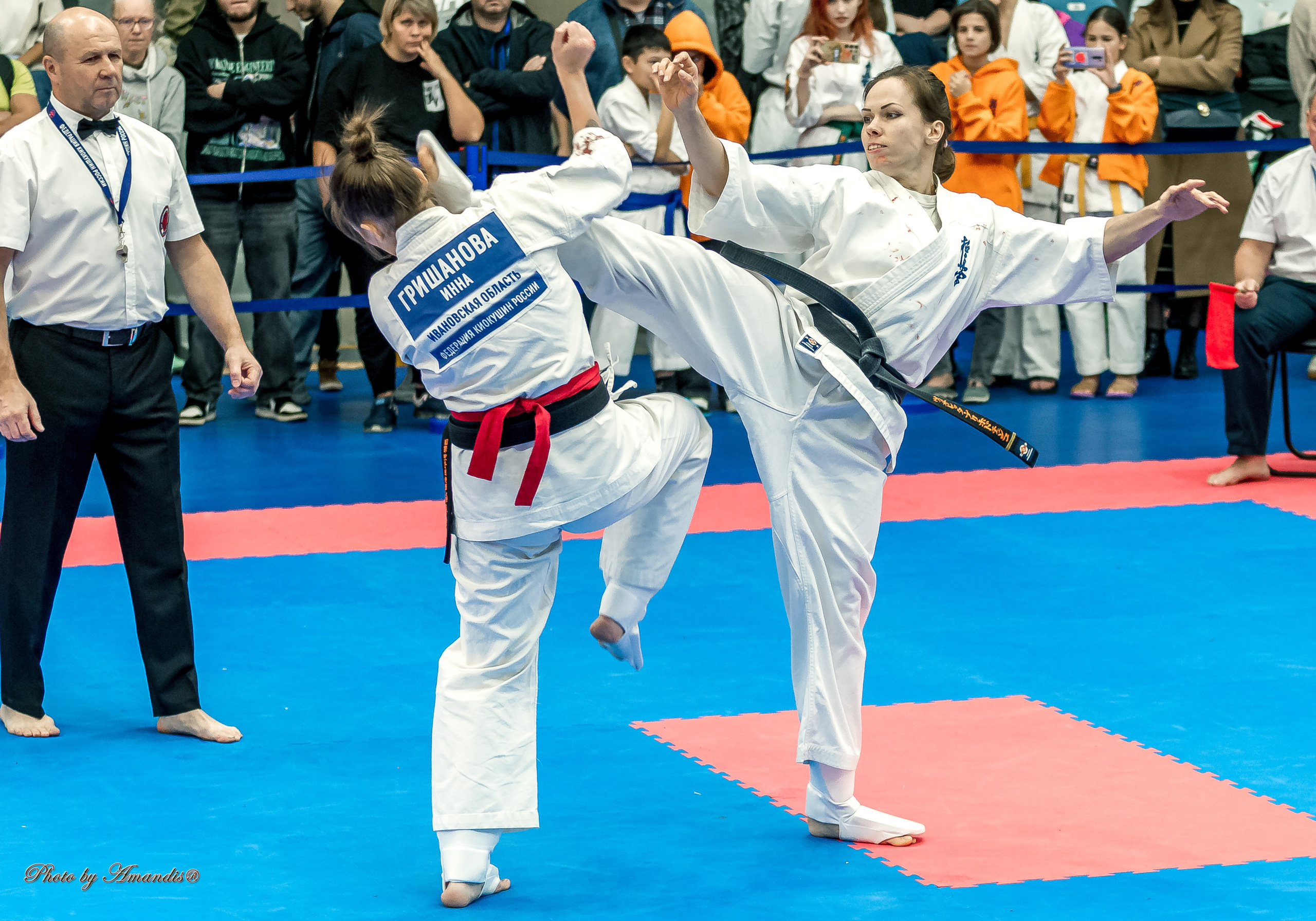 Чемпионат по Киокушинкай Центрального Федерального округа. Репортажная съемка в Москве и области. Анималистика