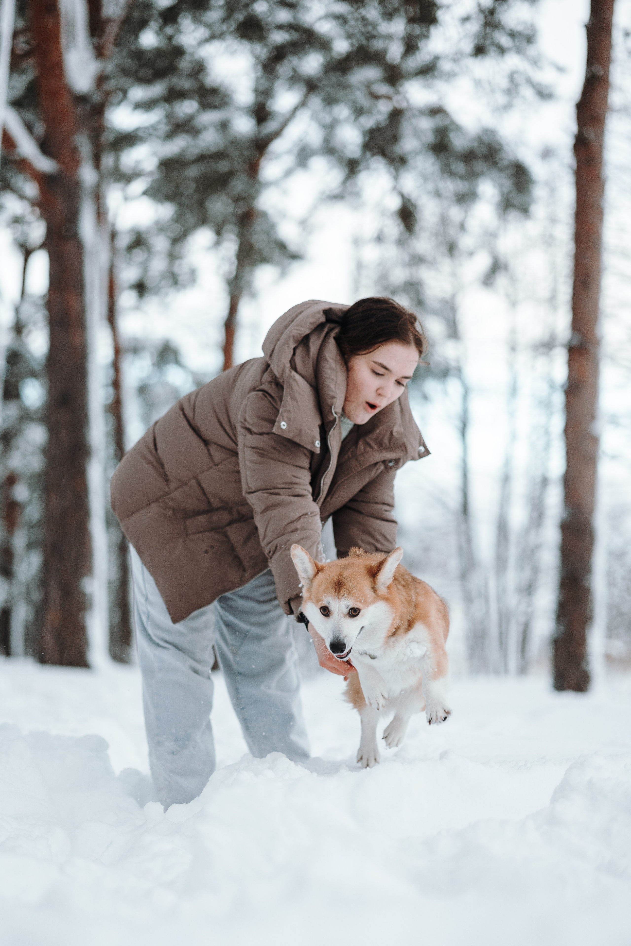 Оливка и ее семья. Фотограф — Анималист | Санкт-Петербург