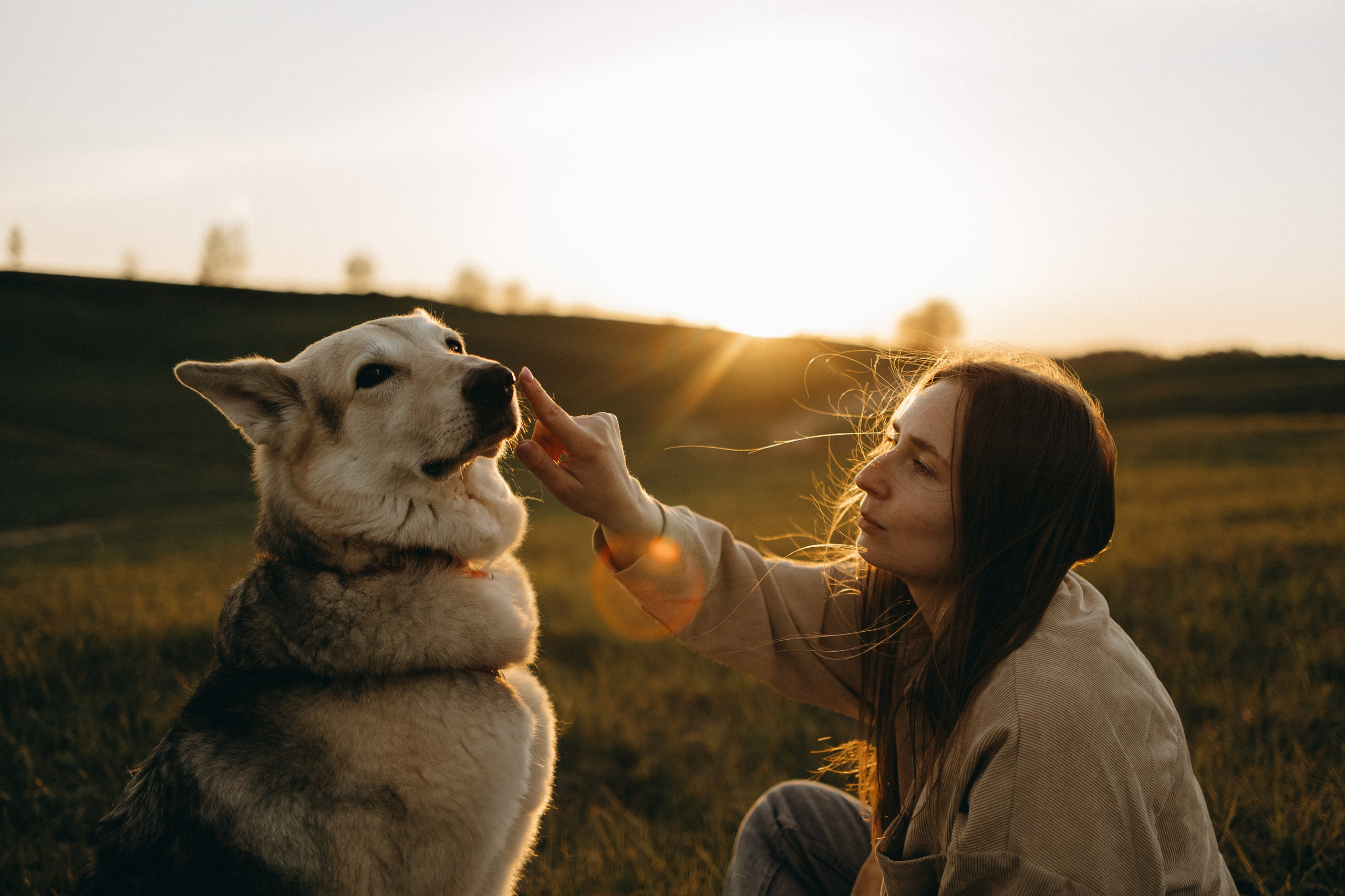 Саша и Зельда. Фотограф — Анималист | Санкт-Петербург