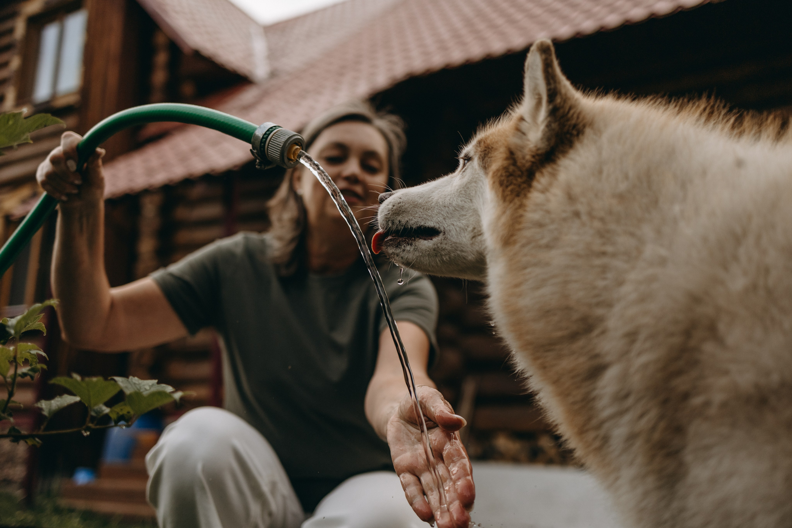 Дом у реки. Фотограф — Анималист | Санкт-Петербург