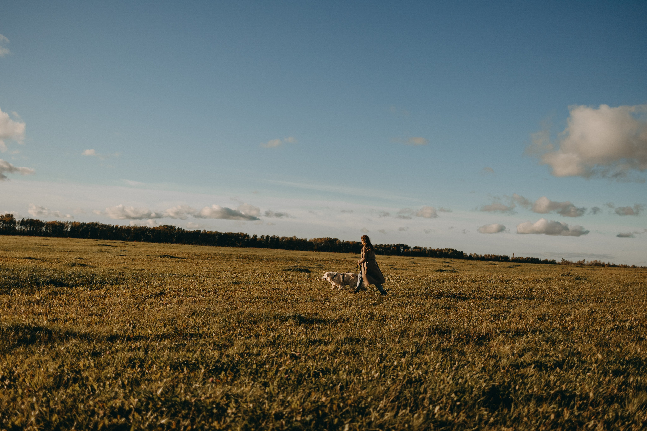 Лера и Скай. Фотограф — Анималист | Санкт-Петербург