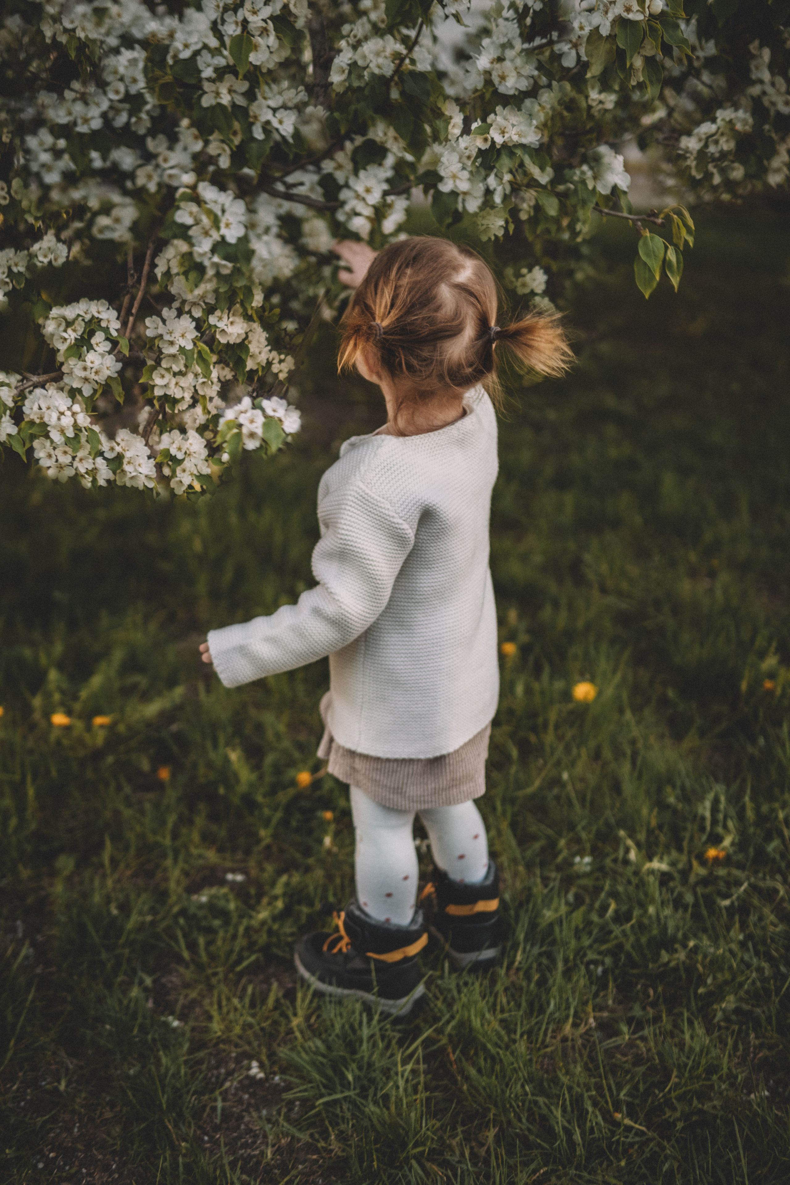 Детские съемки. Семейный, детский и лайфстайл фотограф в Москве Альбина Соколова