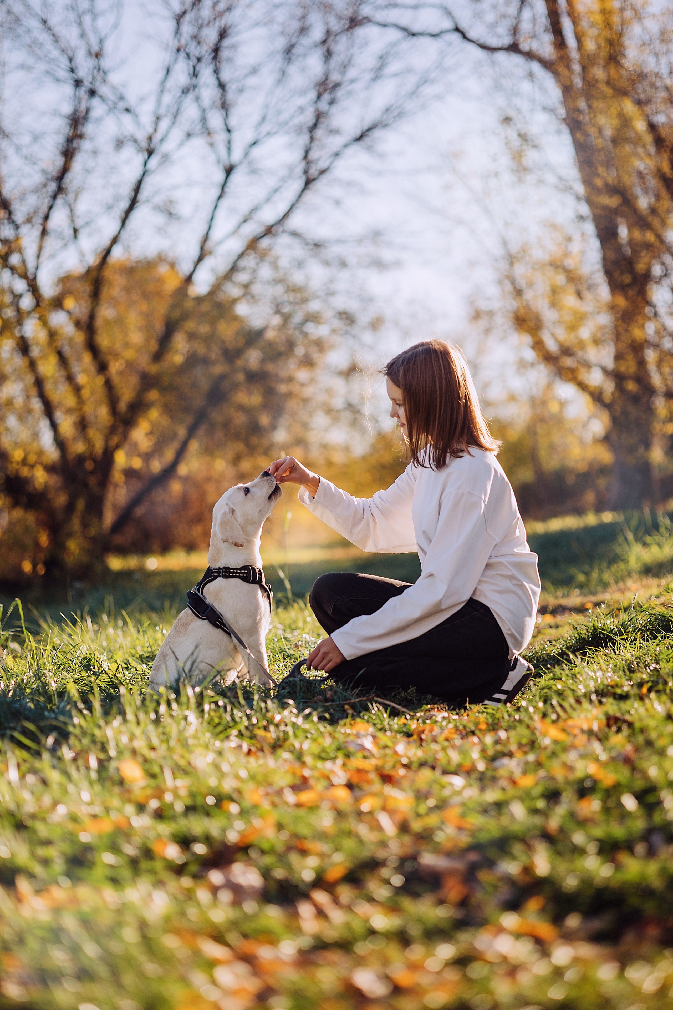 Арина. Свадебный и семейный фотограф в Йошкар-Оле
