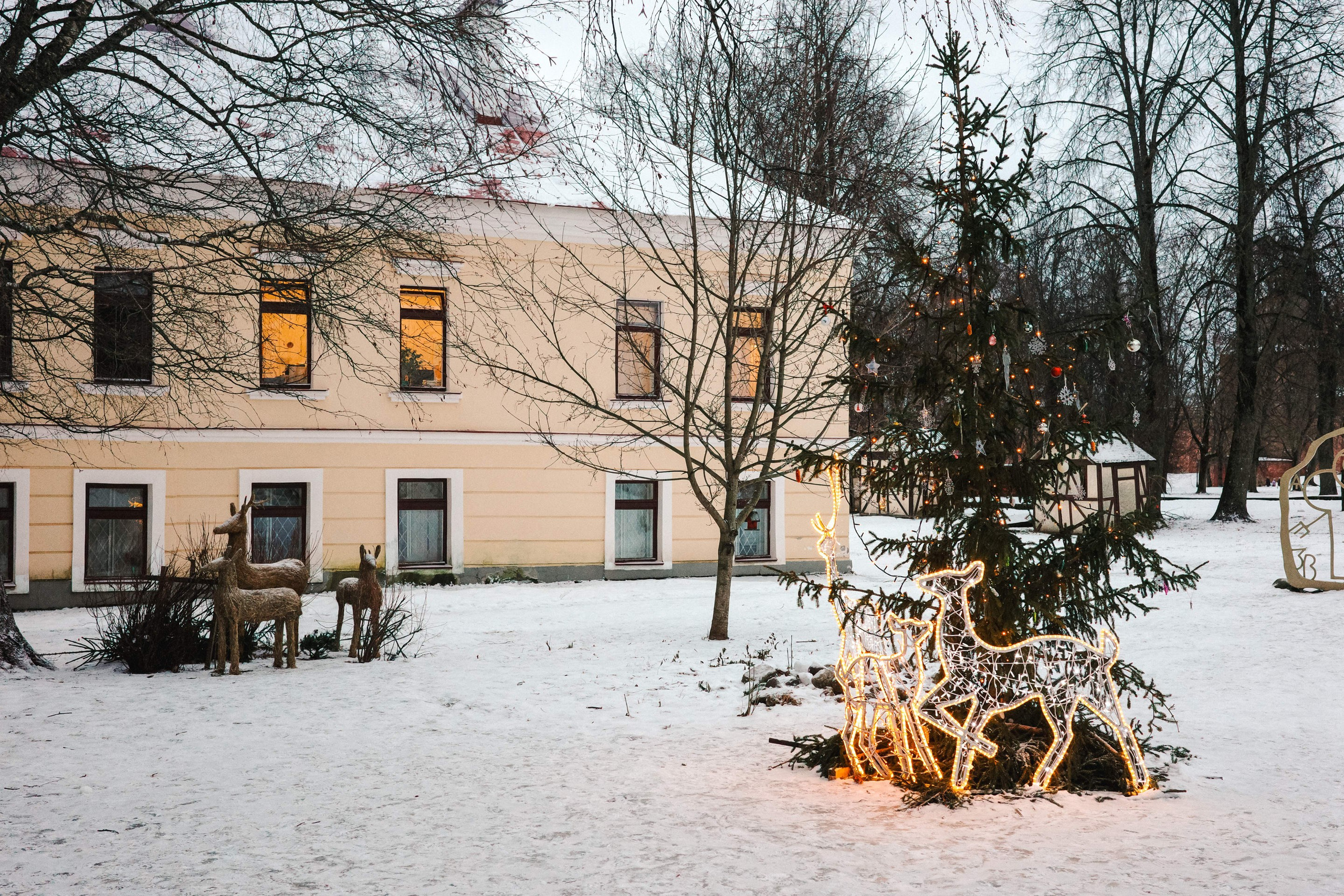 2025.01. Фотограф Алексей Алексеев