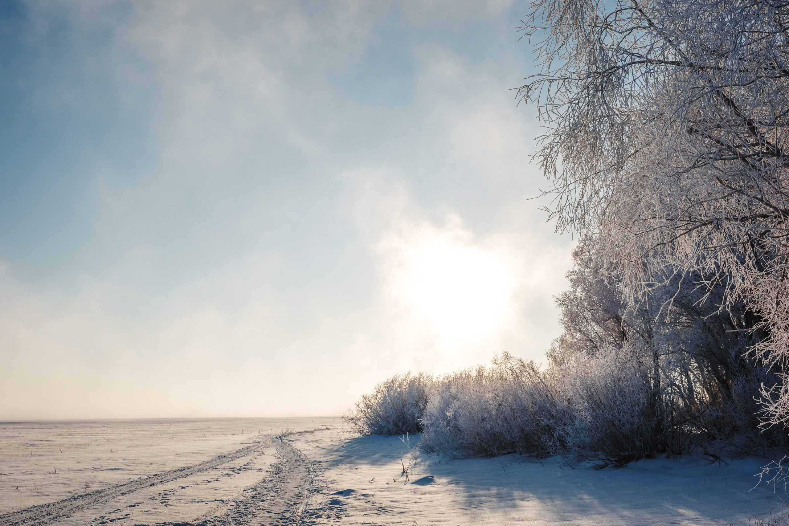 2024.01. Фотограф Алексей Алексеев
