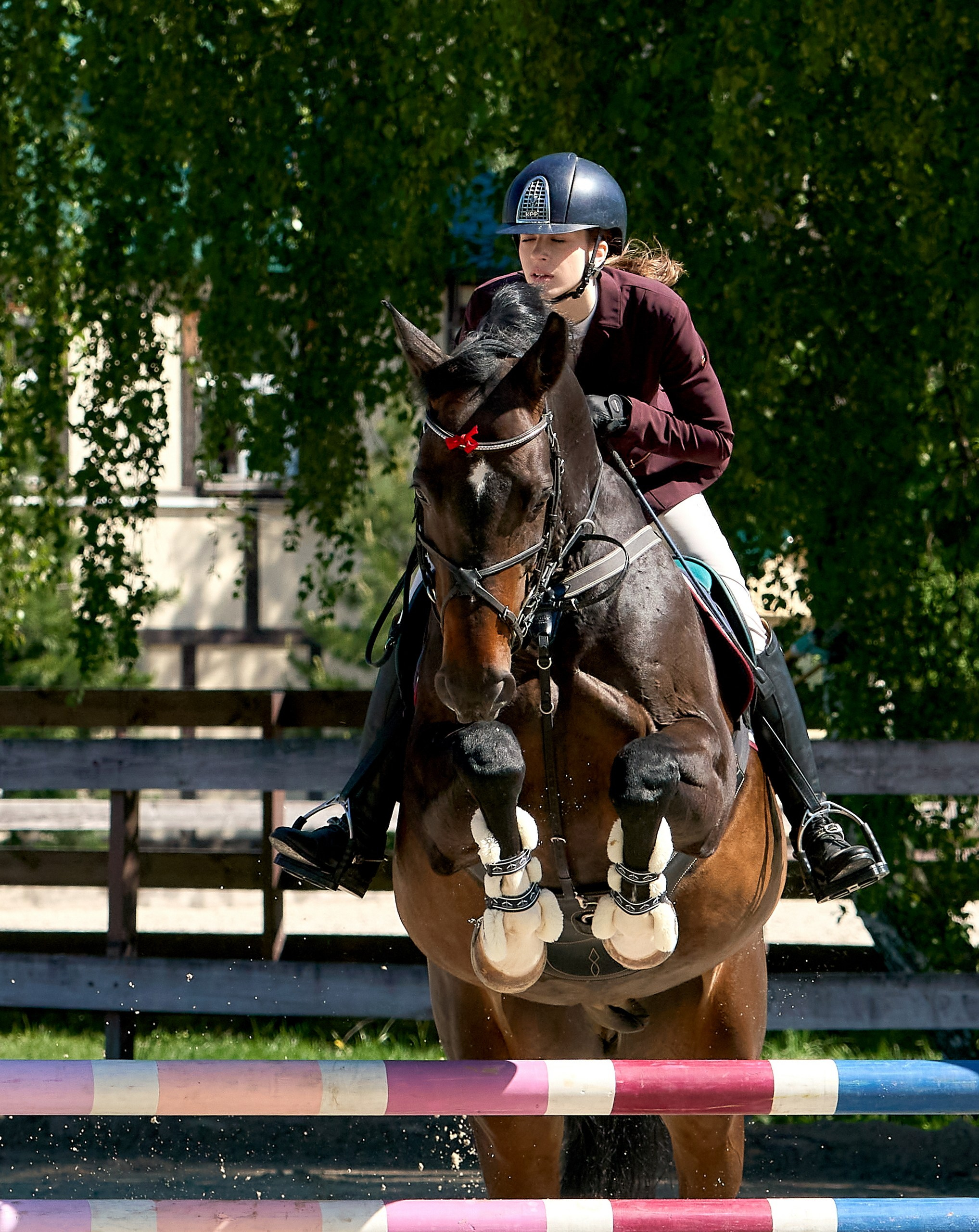 Соревнования на лошадях — галерея NATRIEL