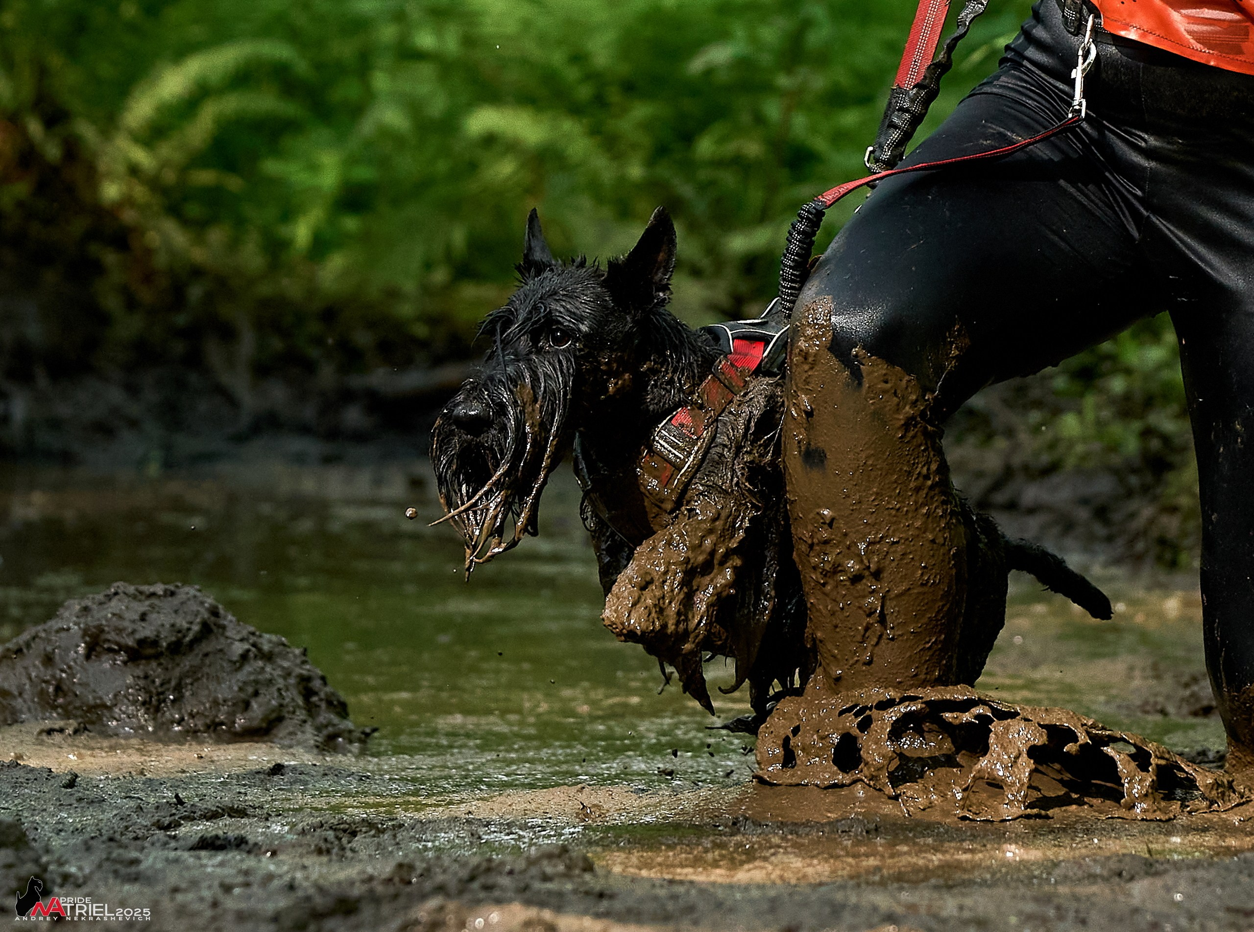 Russian Extreme Dog Trail — 2025