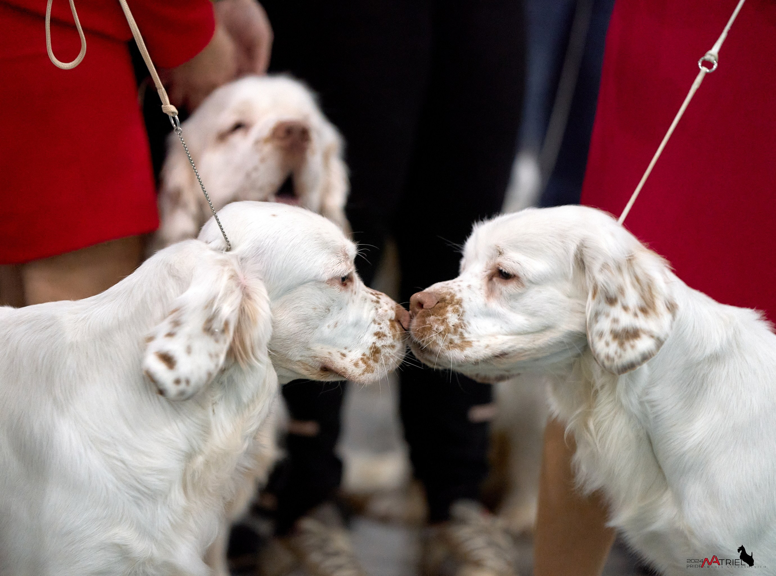 Съемка на выставке ЕВРАЗИЯ-2024