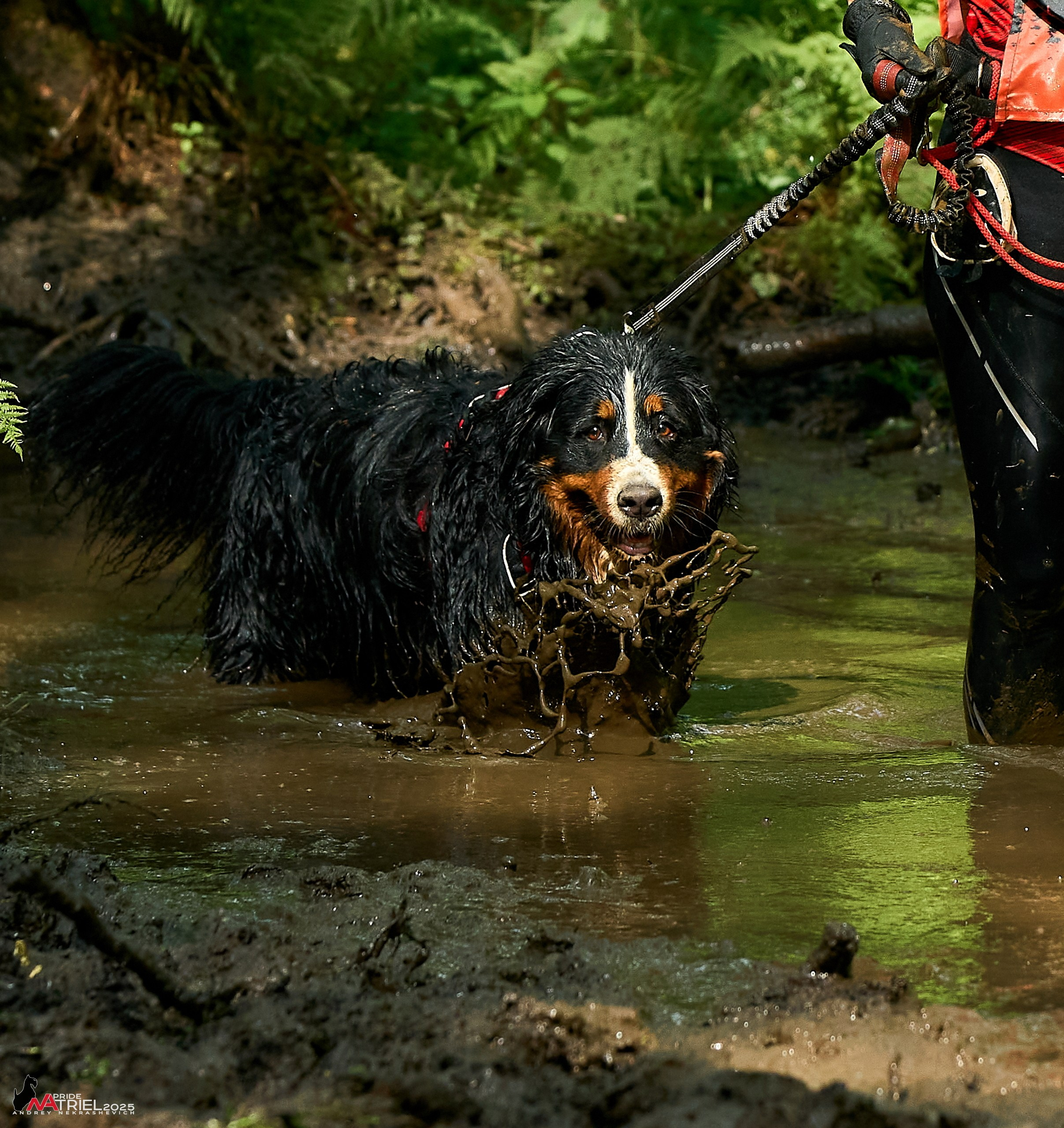 Russian Extreme Dog Trail — 2025
