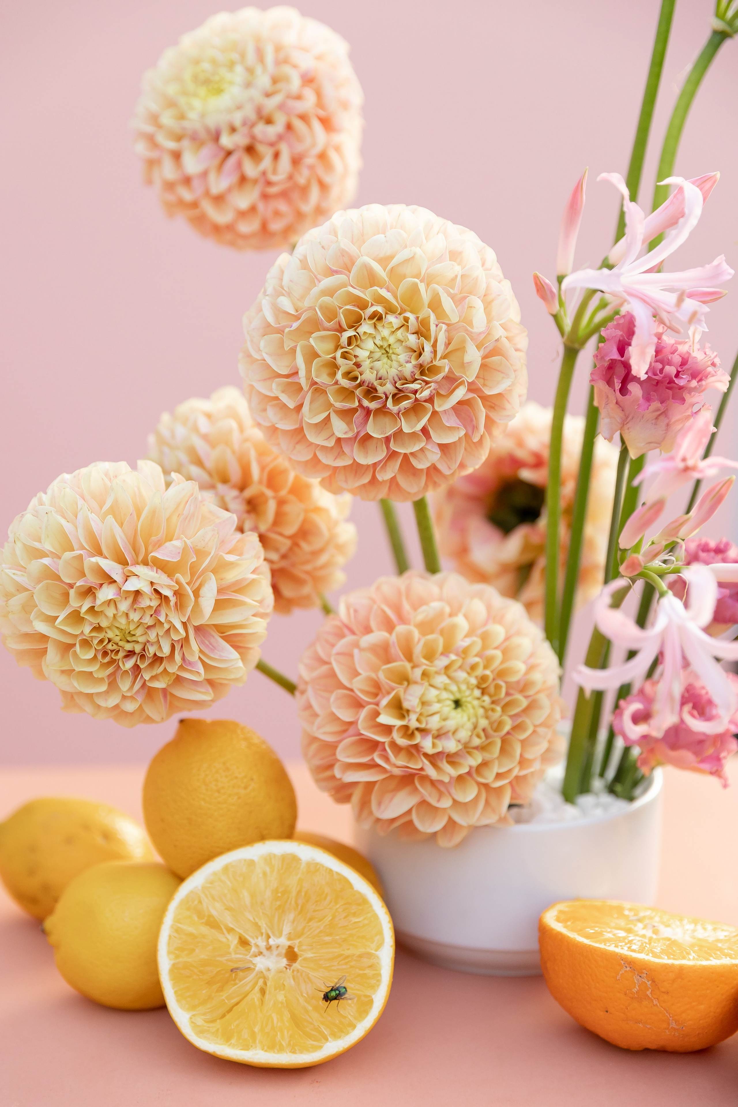 На топ 100 — второй вариант. Свадебный фотограф Колесников Антон