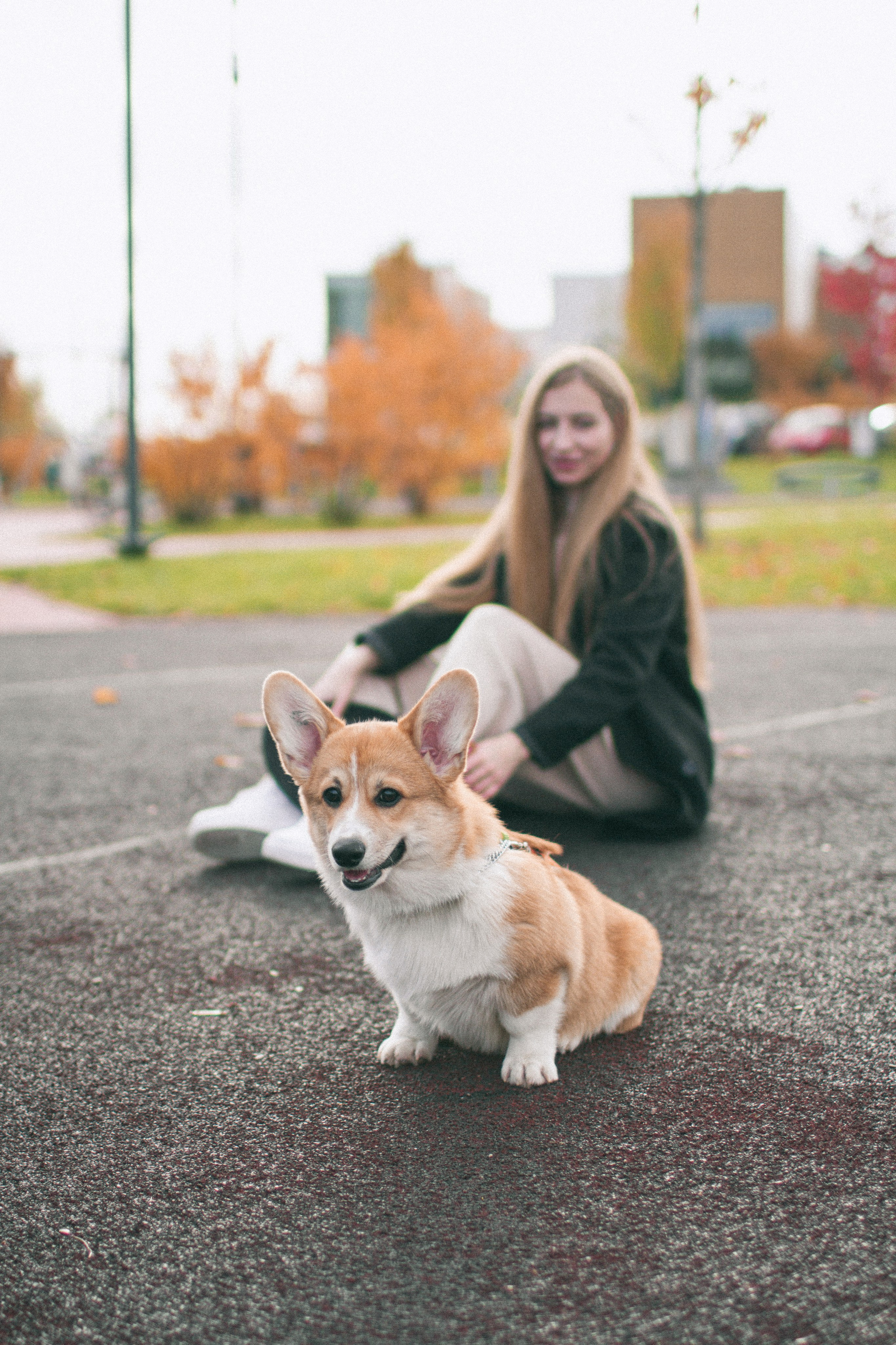 Marina & Persik. Portrait photographer in New York, Yulia Zubova