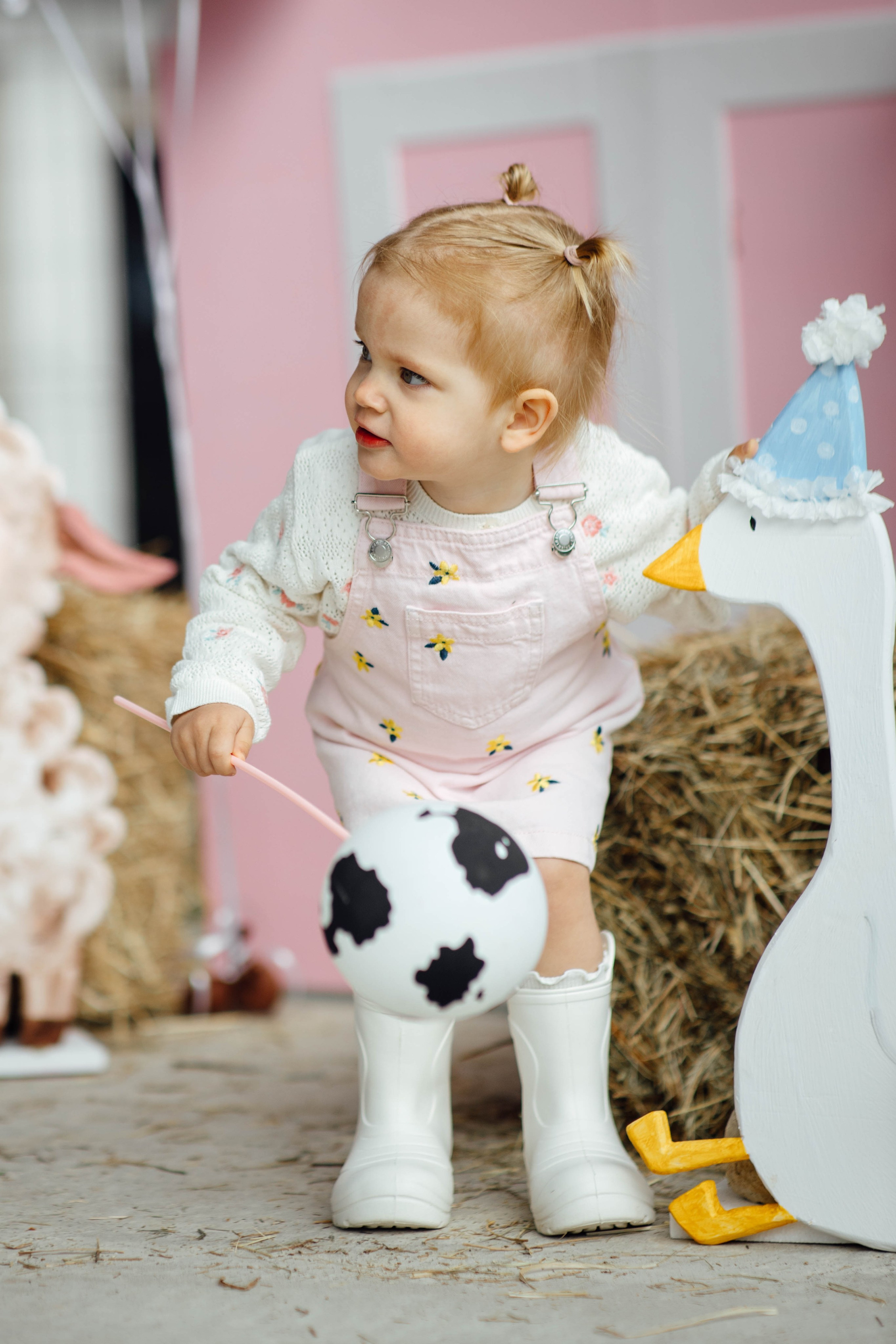 Репортаж дома, др