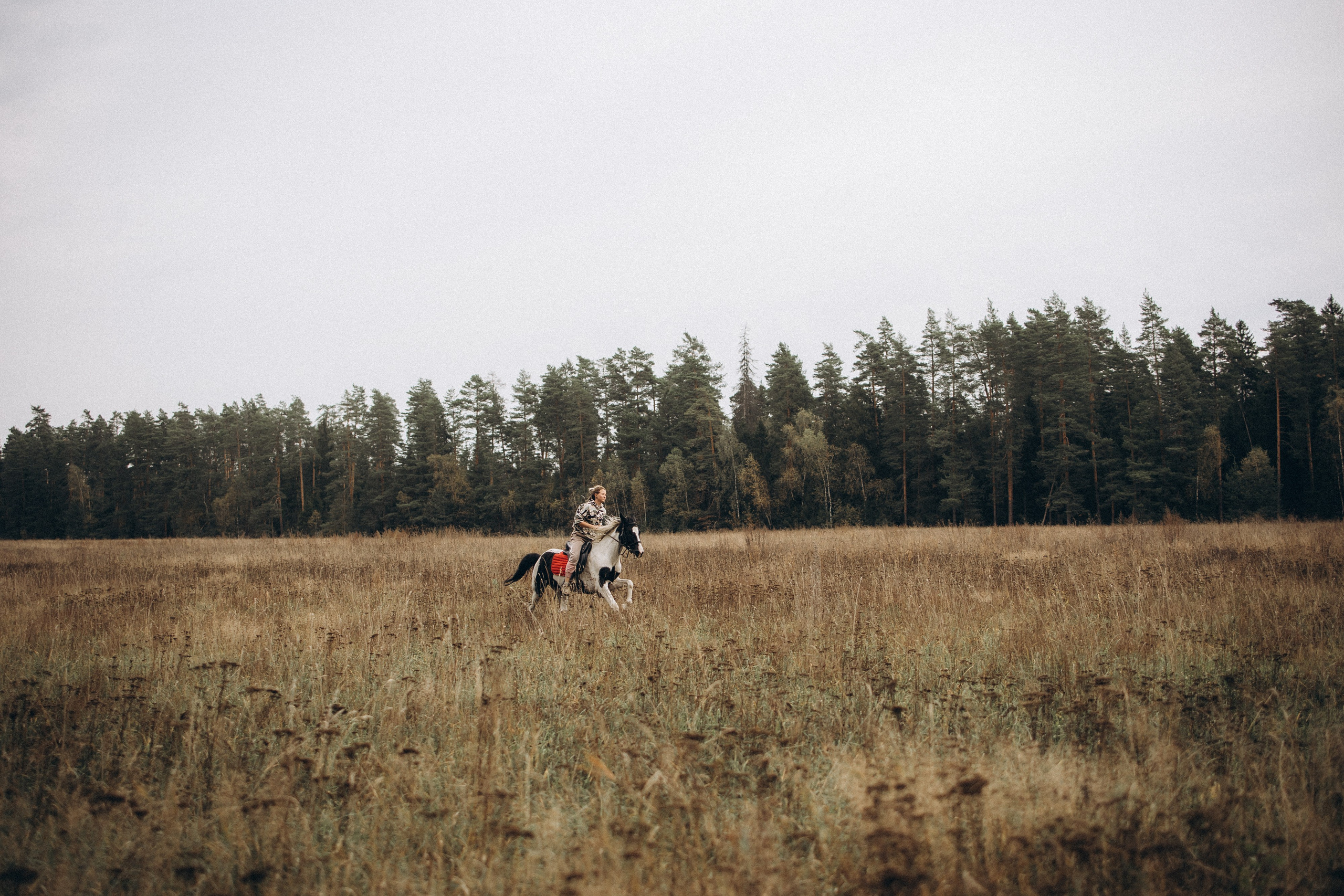 Лошади. Ваш фотограф в Москве и области Юлия