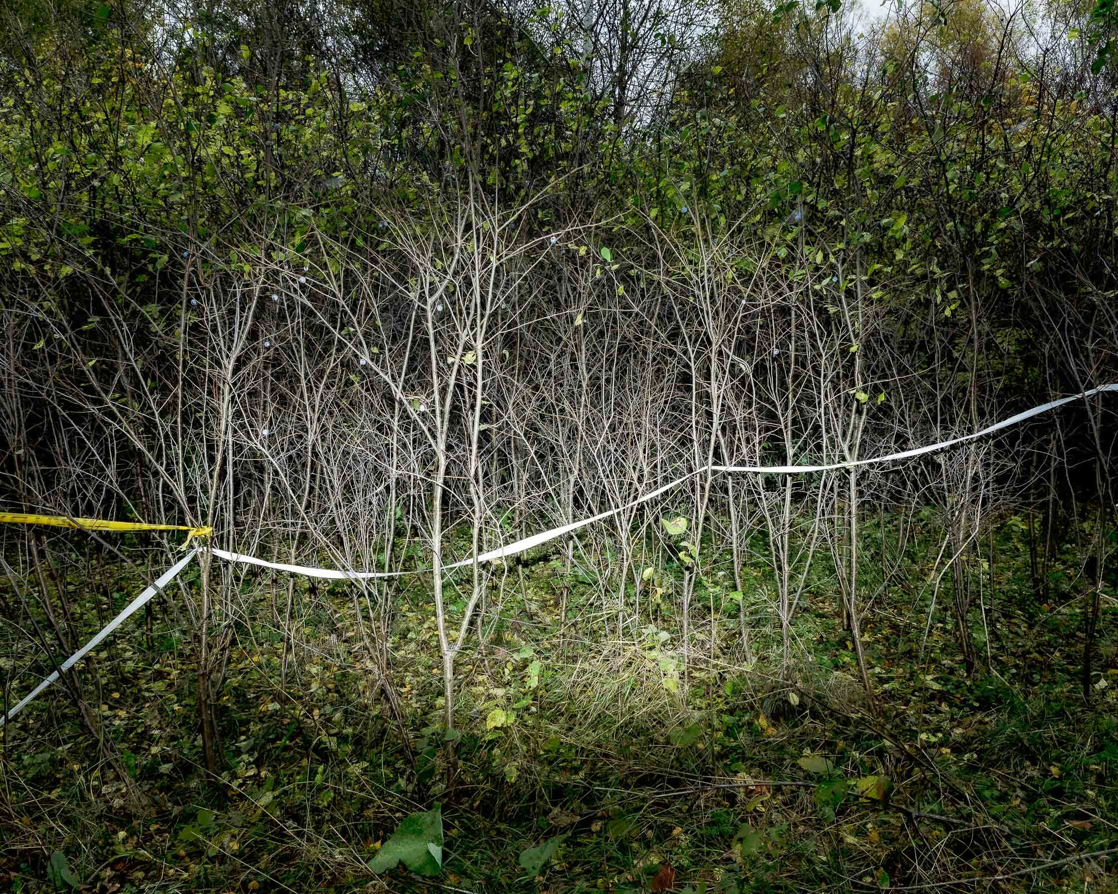 Незаконченный проект