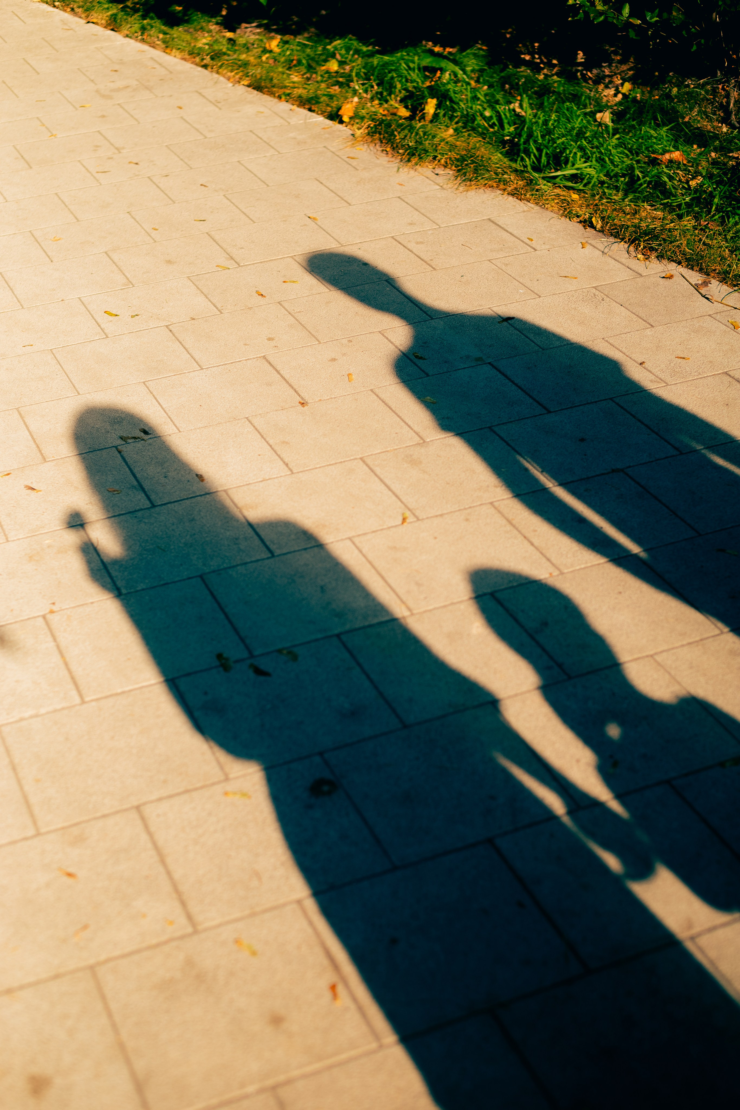 Саша Сережа и Лёня. Фотограф в Москве и МО Влада Обласова