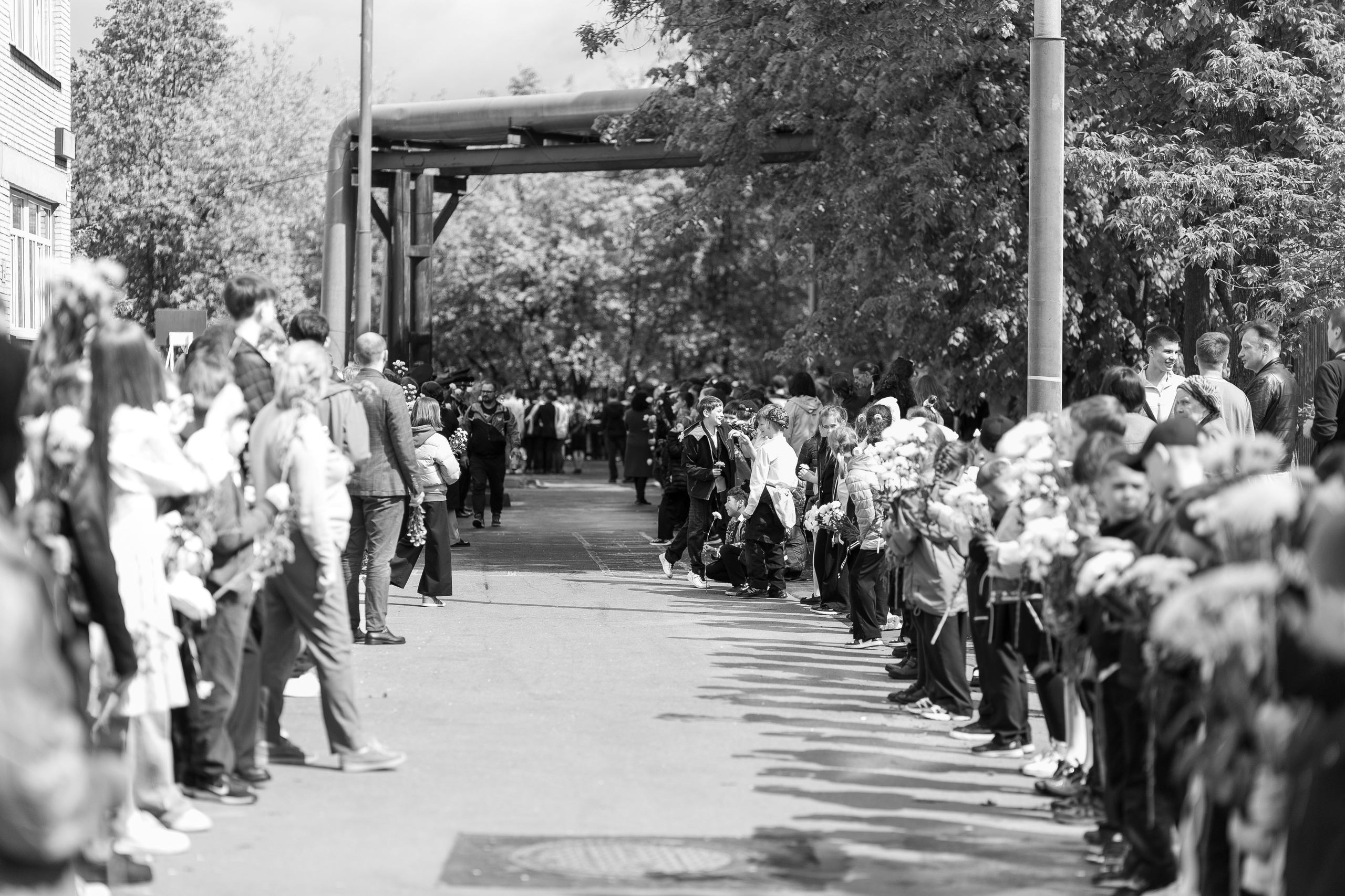 Последний звонок. Krylovaphoto