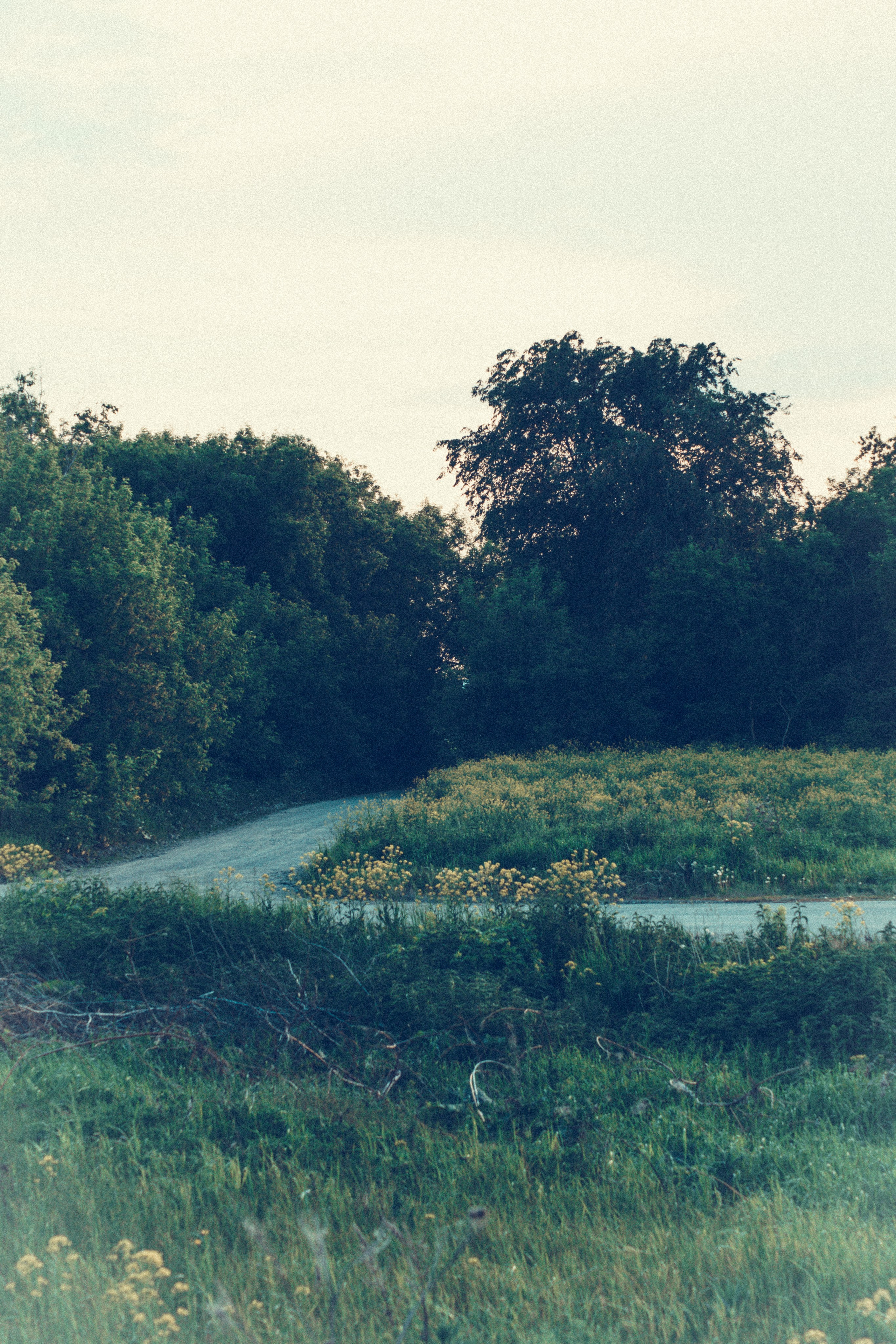 Warm Light of a Quiet Life. Whoii art