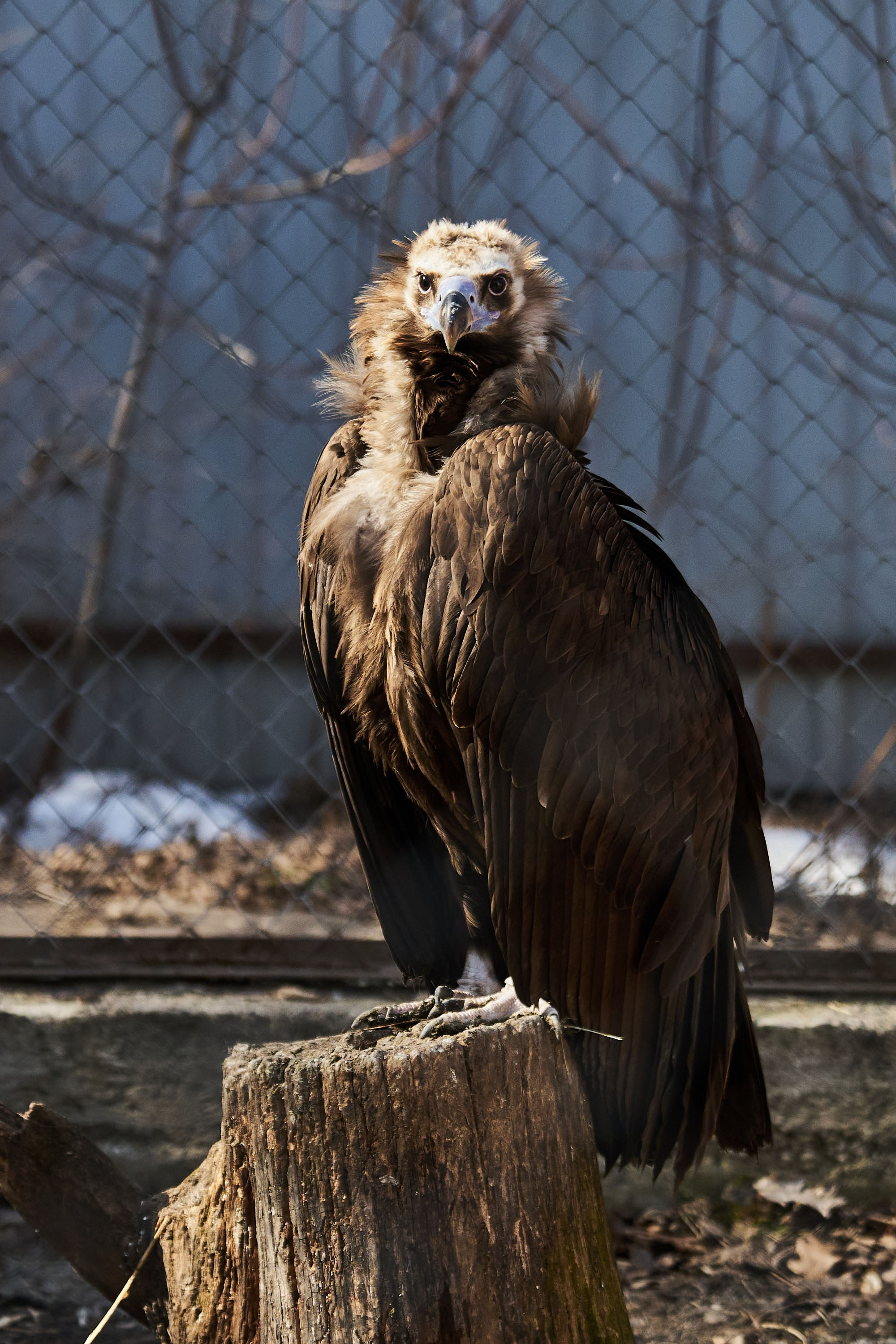 Зоопарк Иваново. Фотограф в Иваново: Каталожная съемка одежды и постельного белья, Wildberries