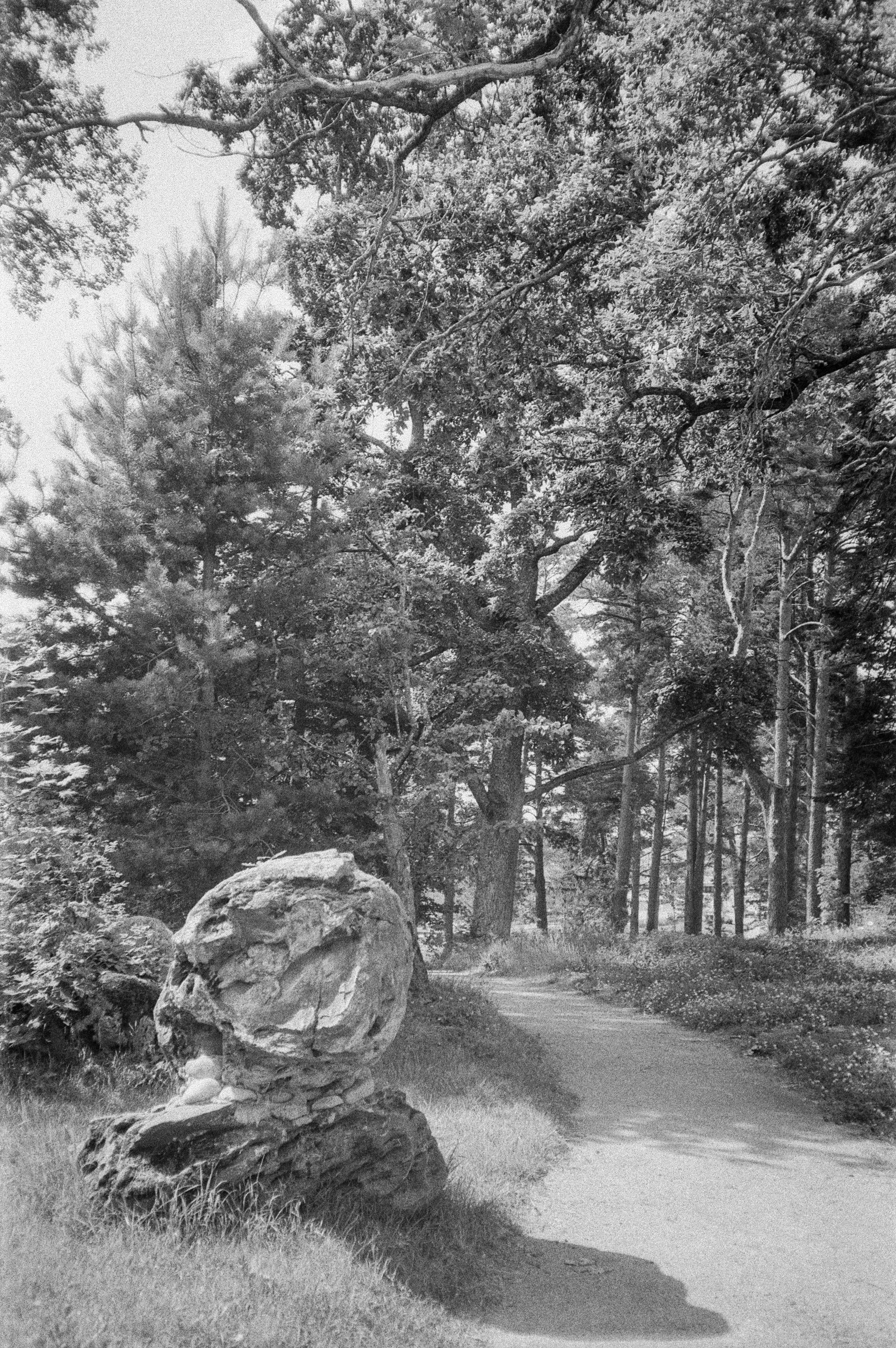 Остров Коневец / Revue 35CC / Kodak XX