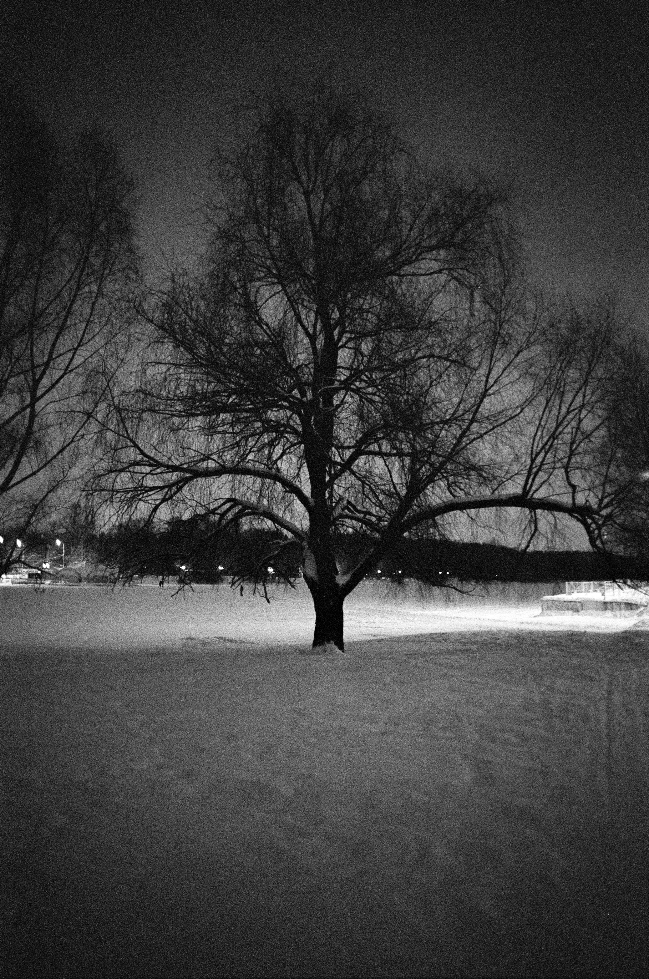 Обзор фотоаппарата Voigtlander BESSA-T. Мои первые впечатления