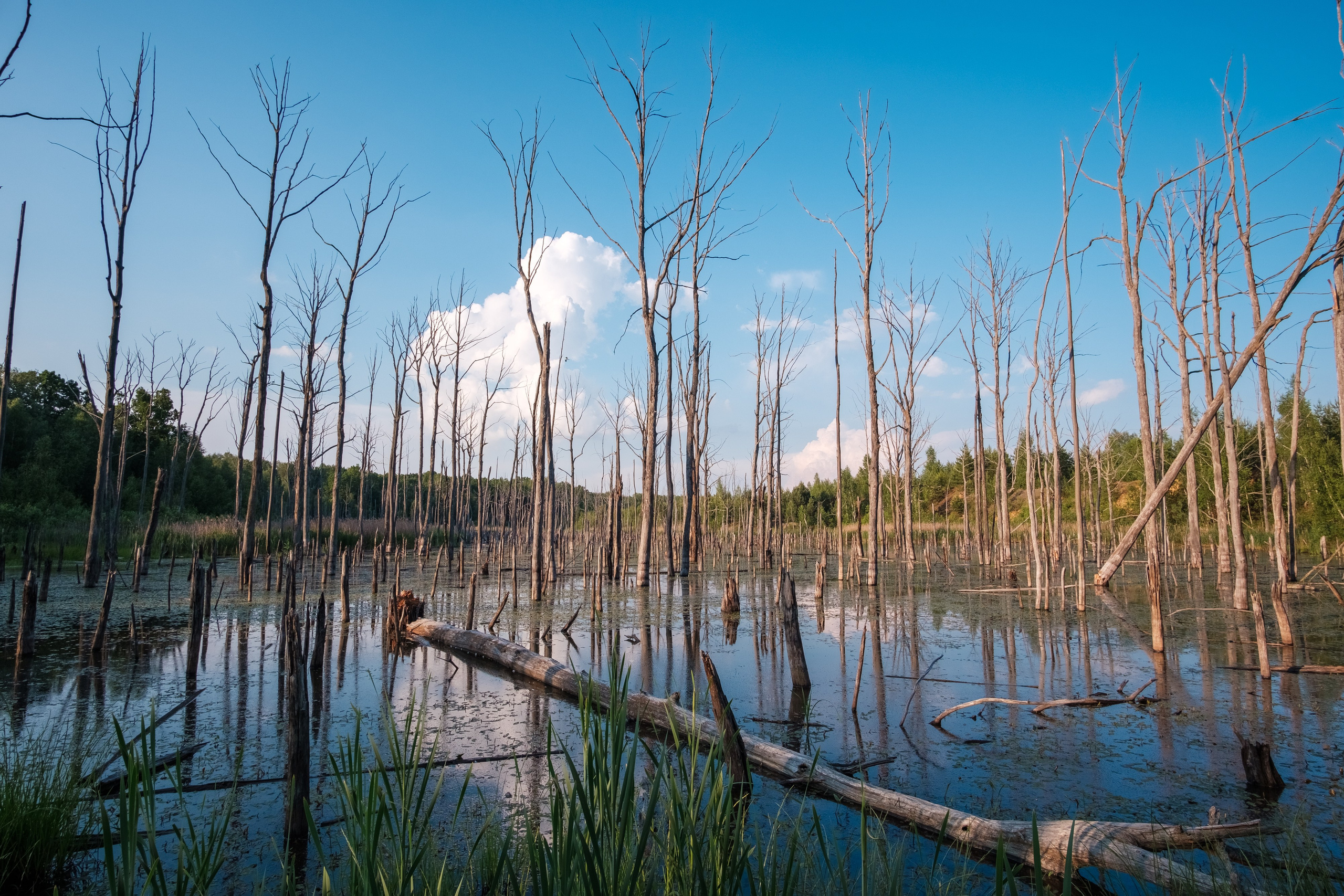 Суворовские карьеры. Фотограф и видеооператор в Туле | Даниил Рыбак