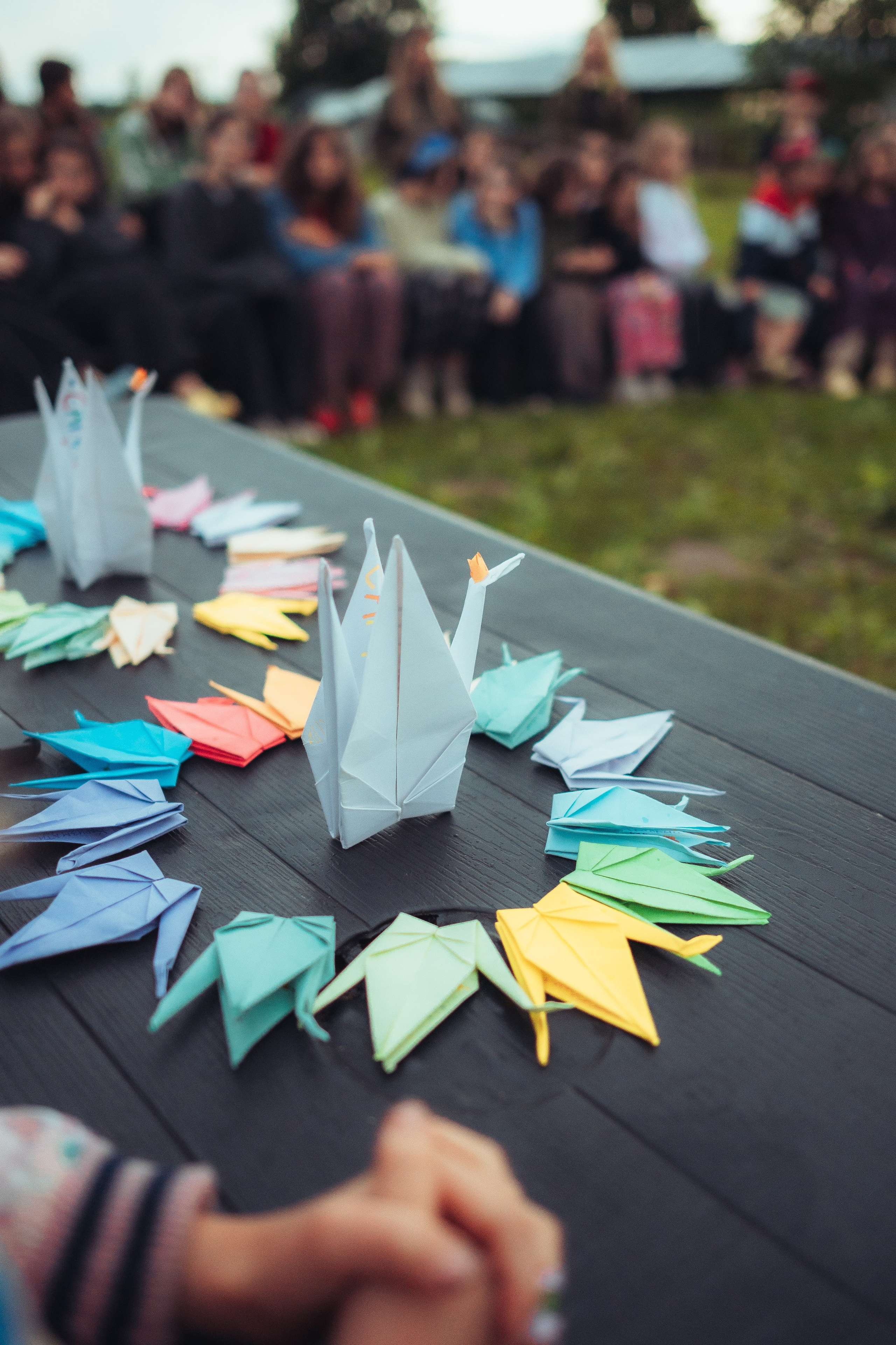 Детский лагерь — 4 смена 2025 год. Иван Кубик — фотограф и видеограф