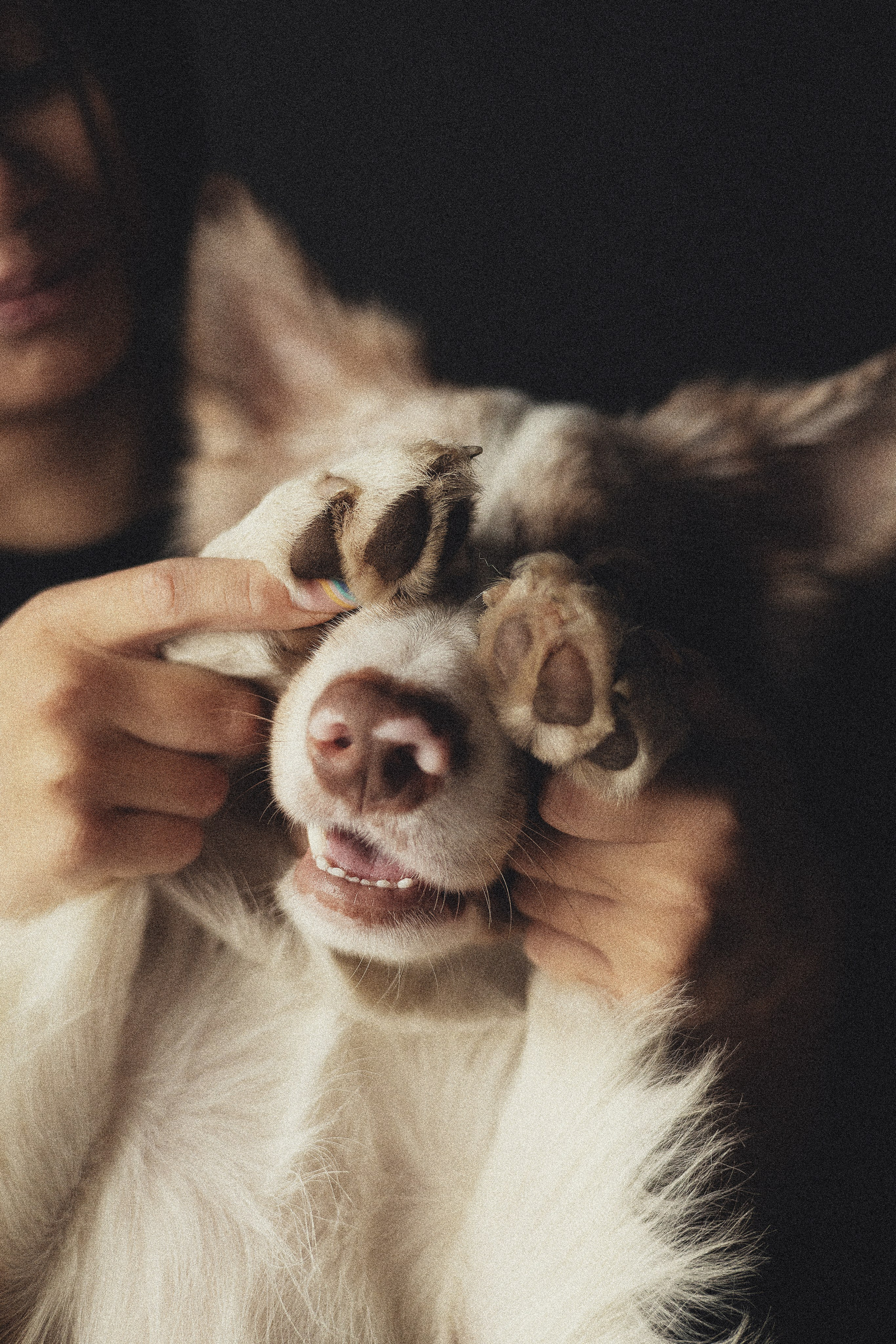 Портфолио. Фотограф-анималист в Екатеринбурге Марина Шишкина