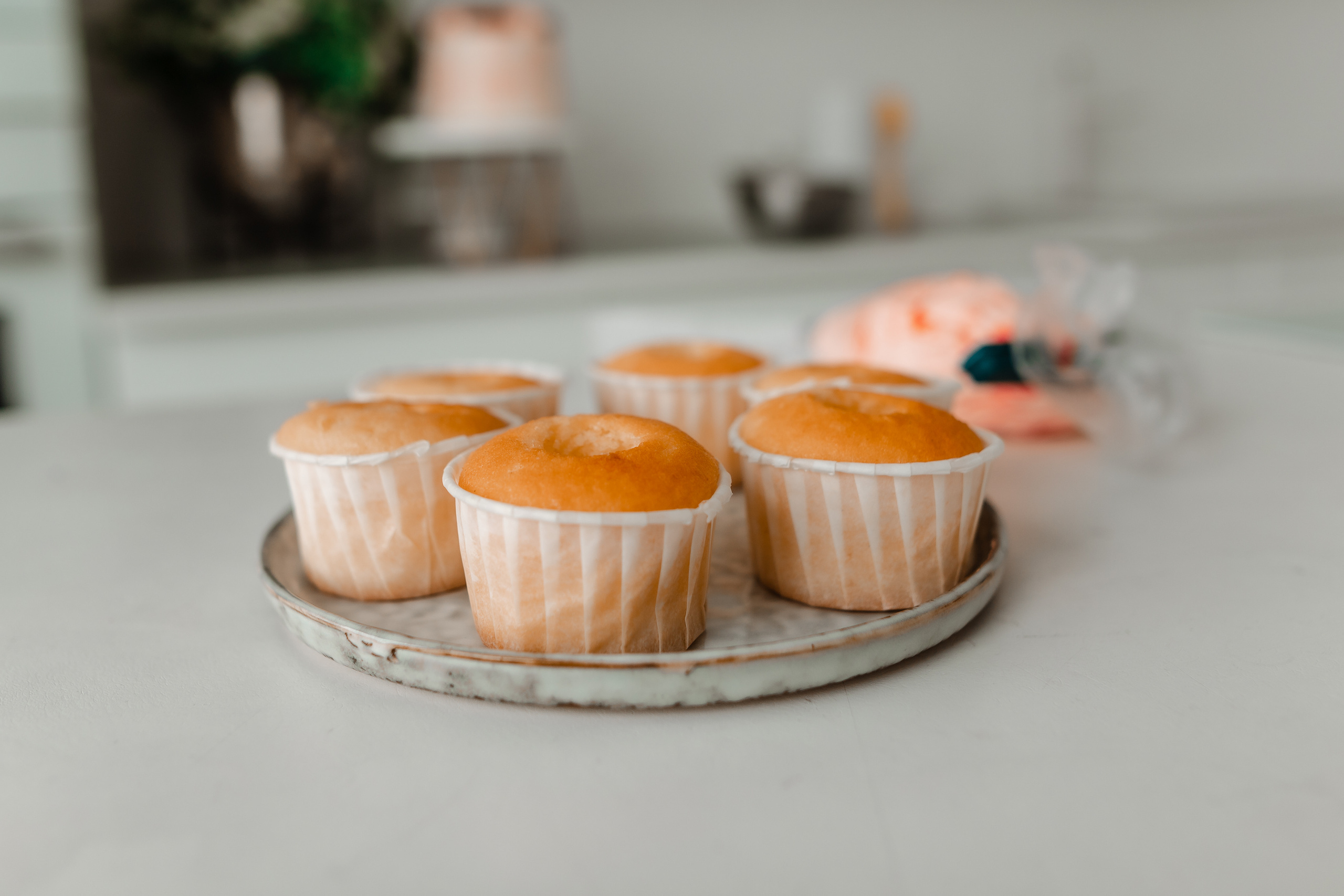 Светлана Кондитер. Фотограф москва