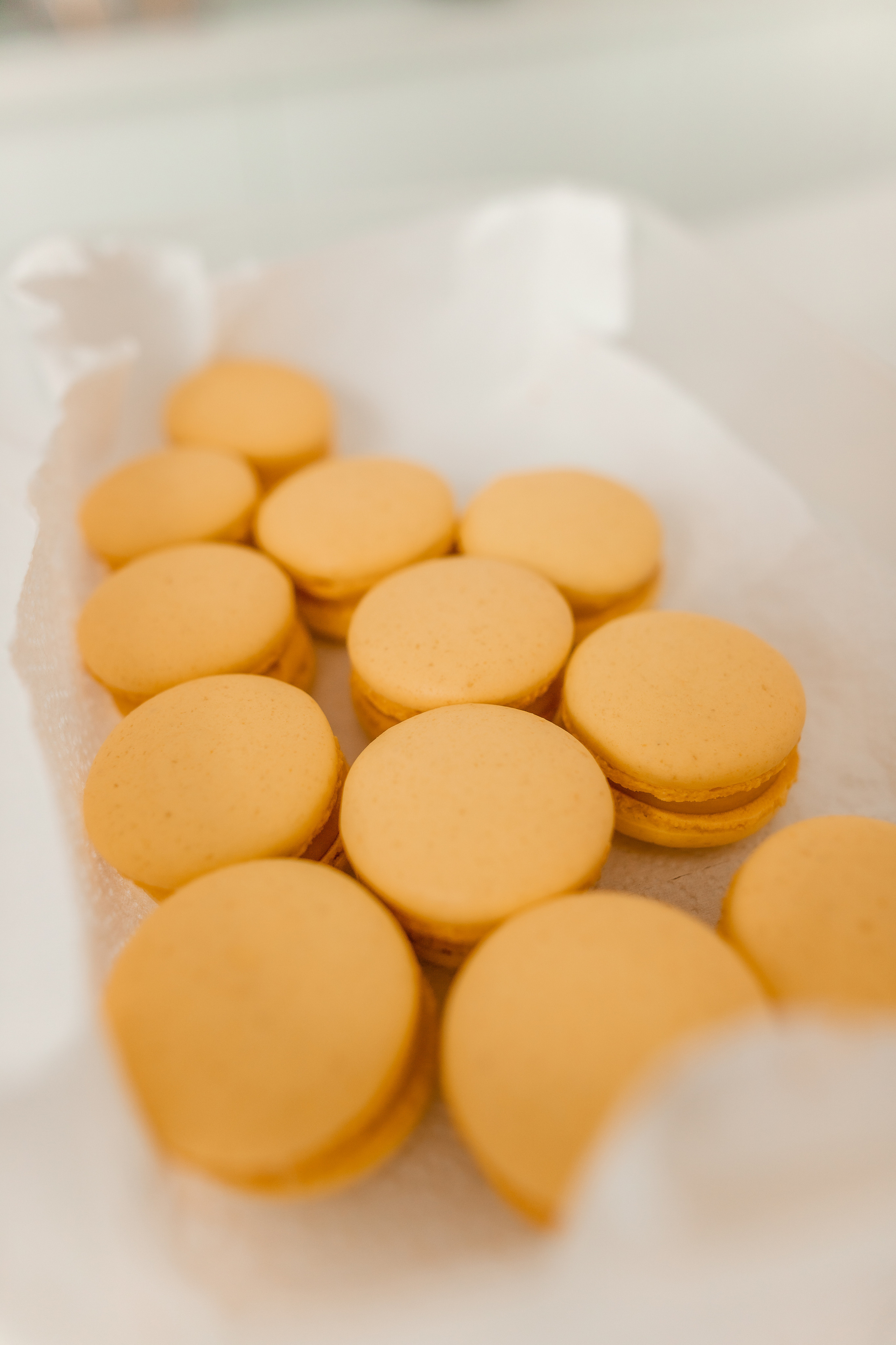 Светлана Кондитер. Фотограф москва