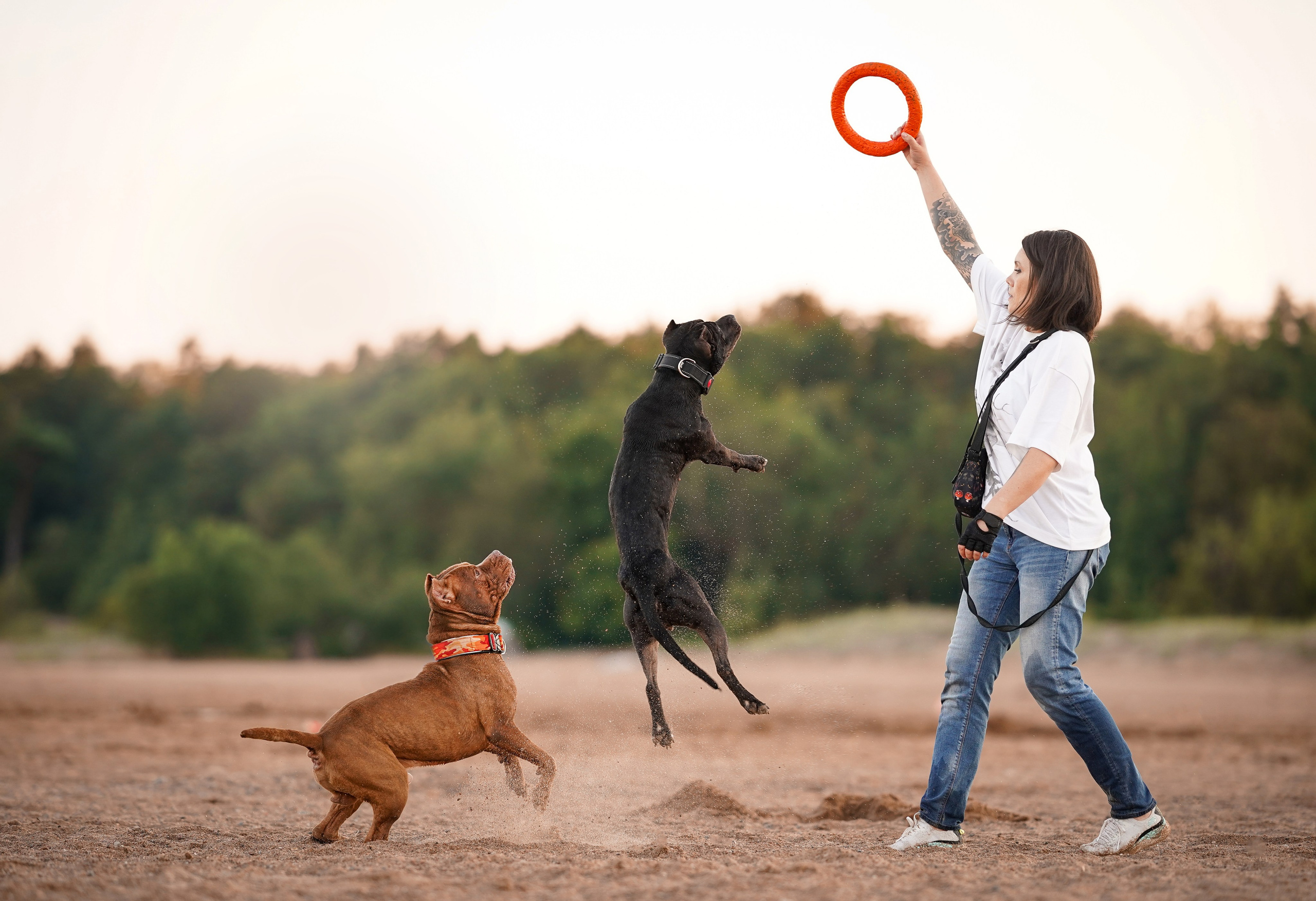 Татьяна Изи и Джем. Фотограф-анималист в Санкт-Петербурге Яна Мартынова