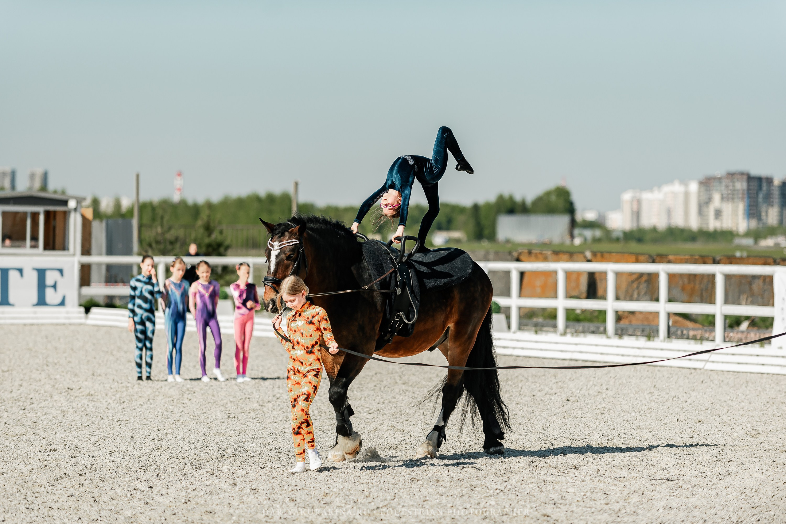 РЕПОРТАЖ МКК ВОЛЬТ «LA TULIPS». Конный фотограф Куракина Дарья • Фотосессии с лошадьми