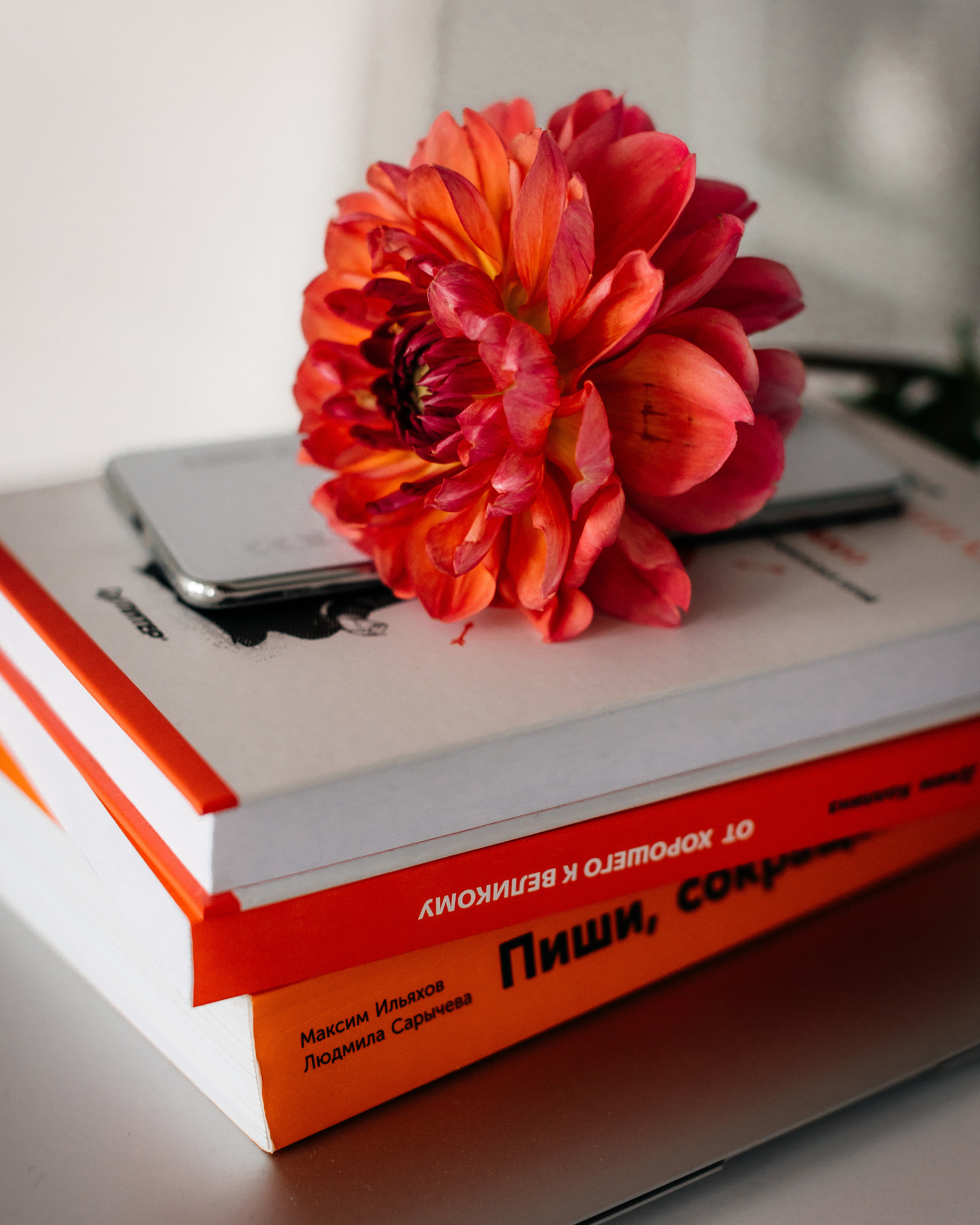 Блог таргетолога. Портретный фотограф в Минске Анна Волейко