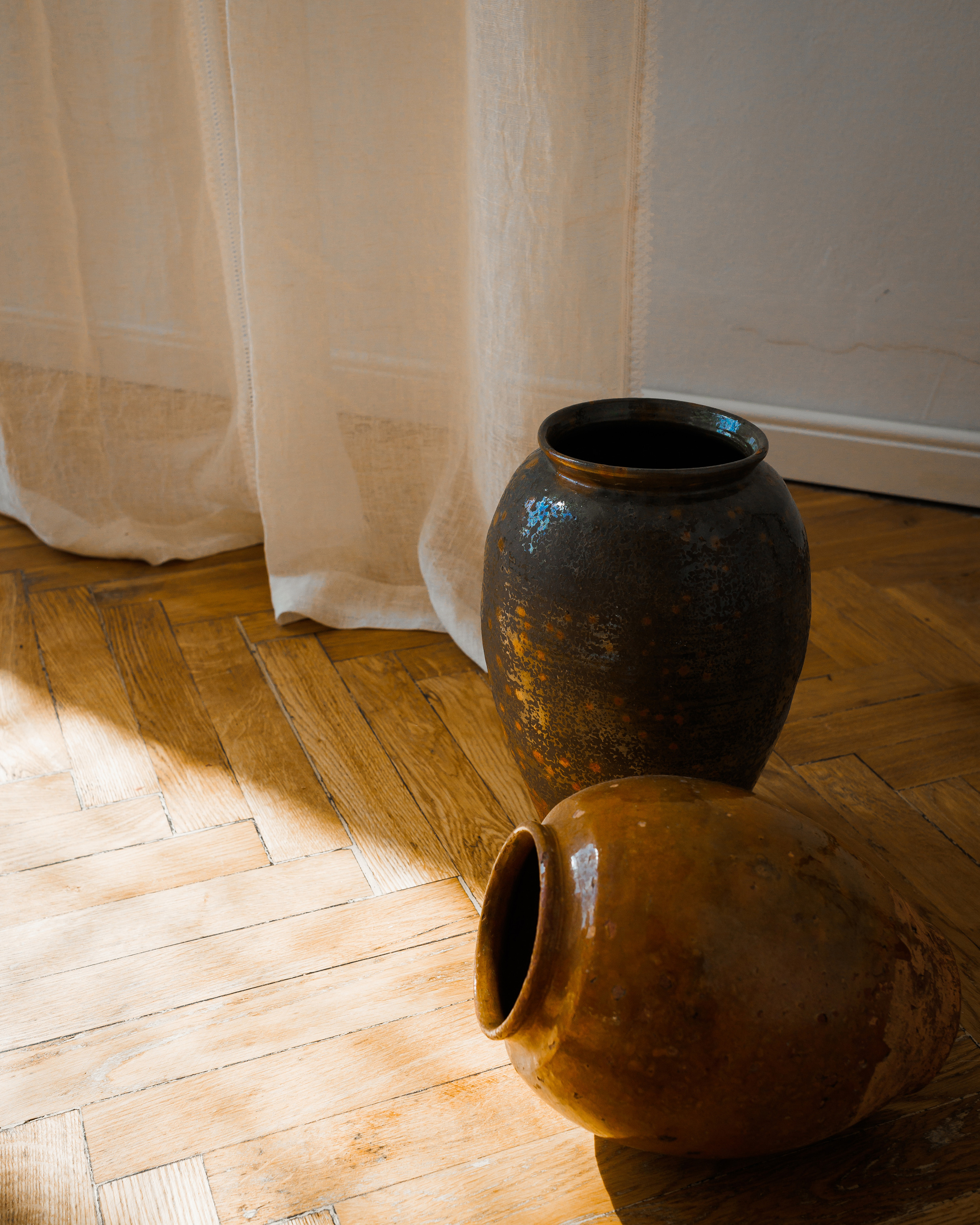 Дикая морковь 3. Портретный фотограф в Минске Анна Волейко