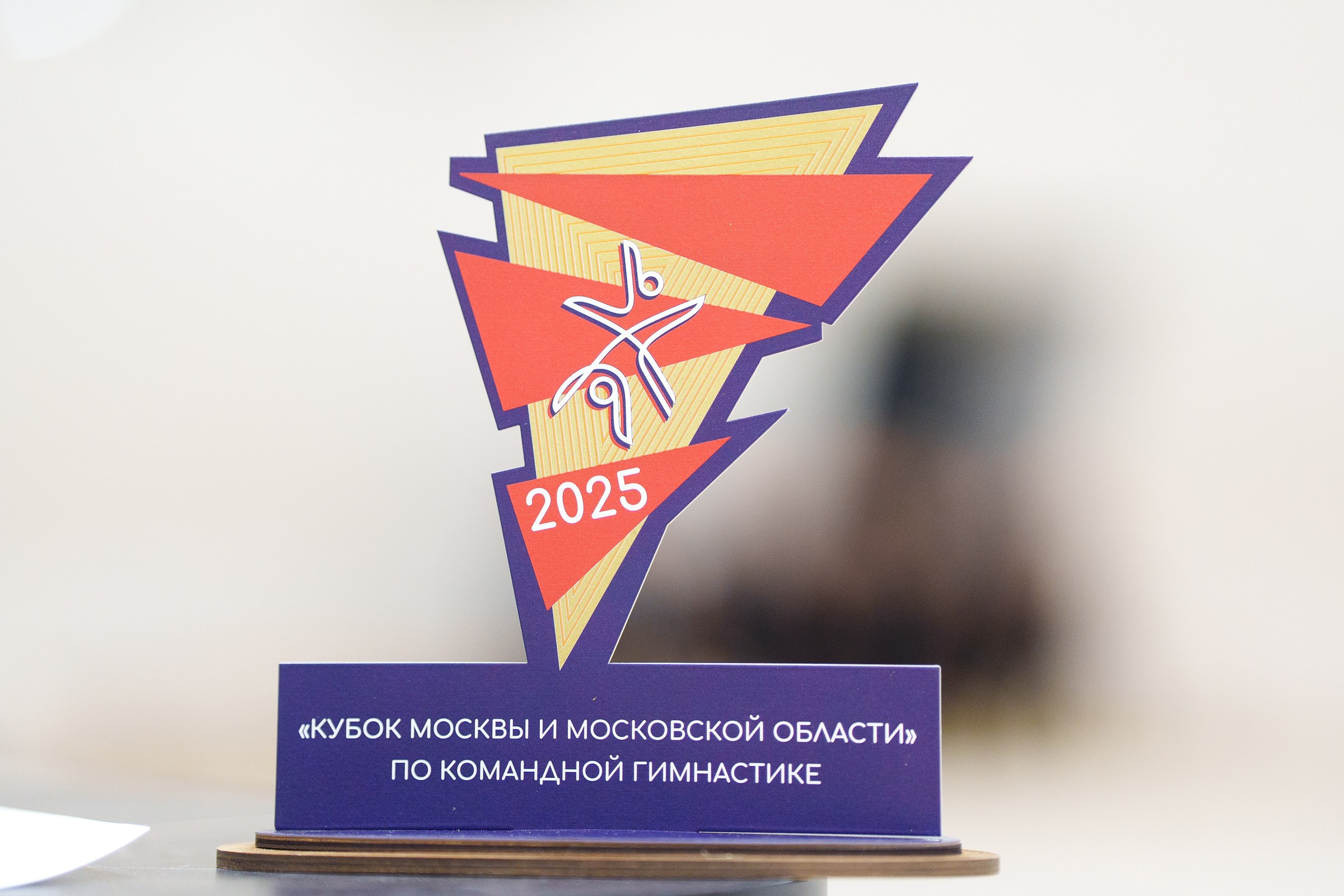 Гимнастика. Фотограф Москва