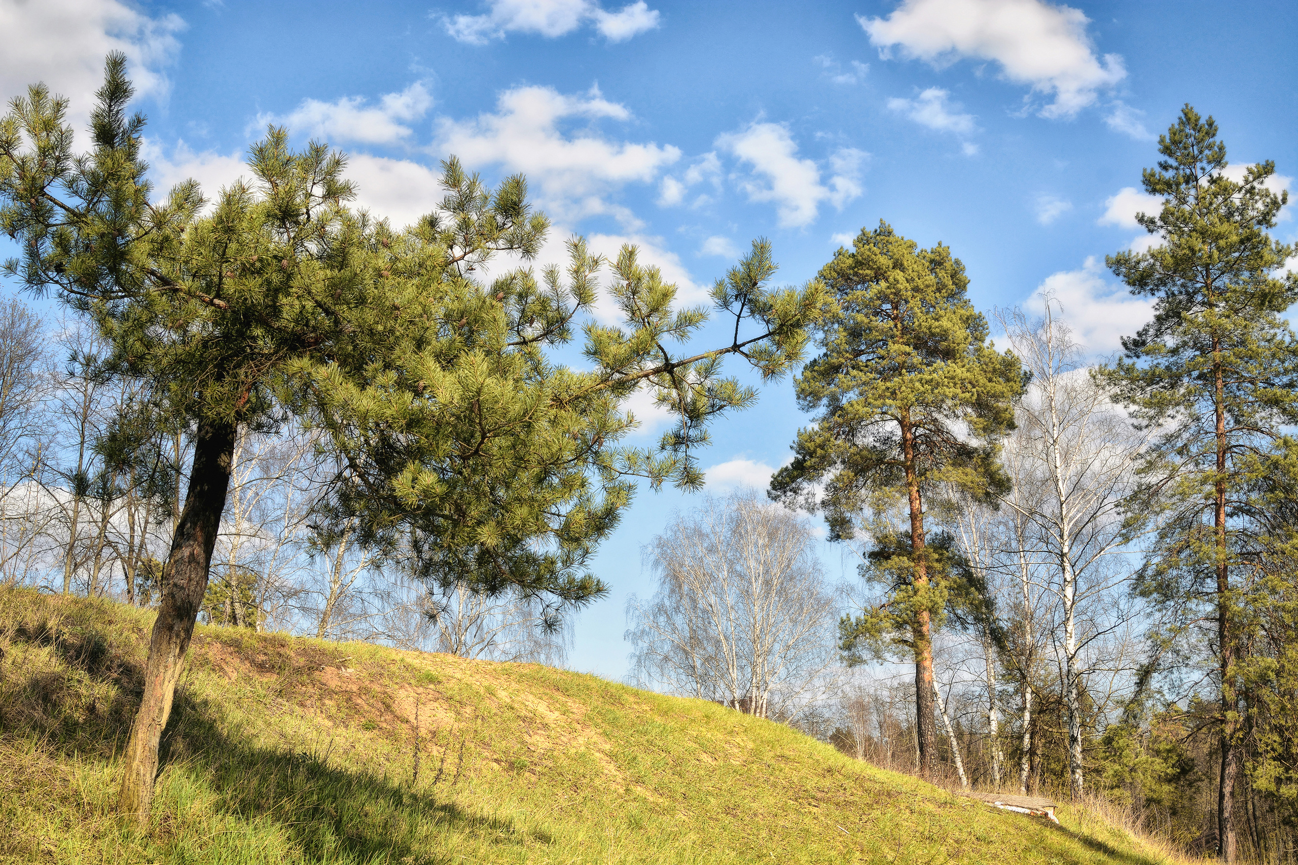 Пейзажи. Свадебный фотограф Олег Шатохин  Москва и Московской область