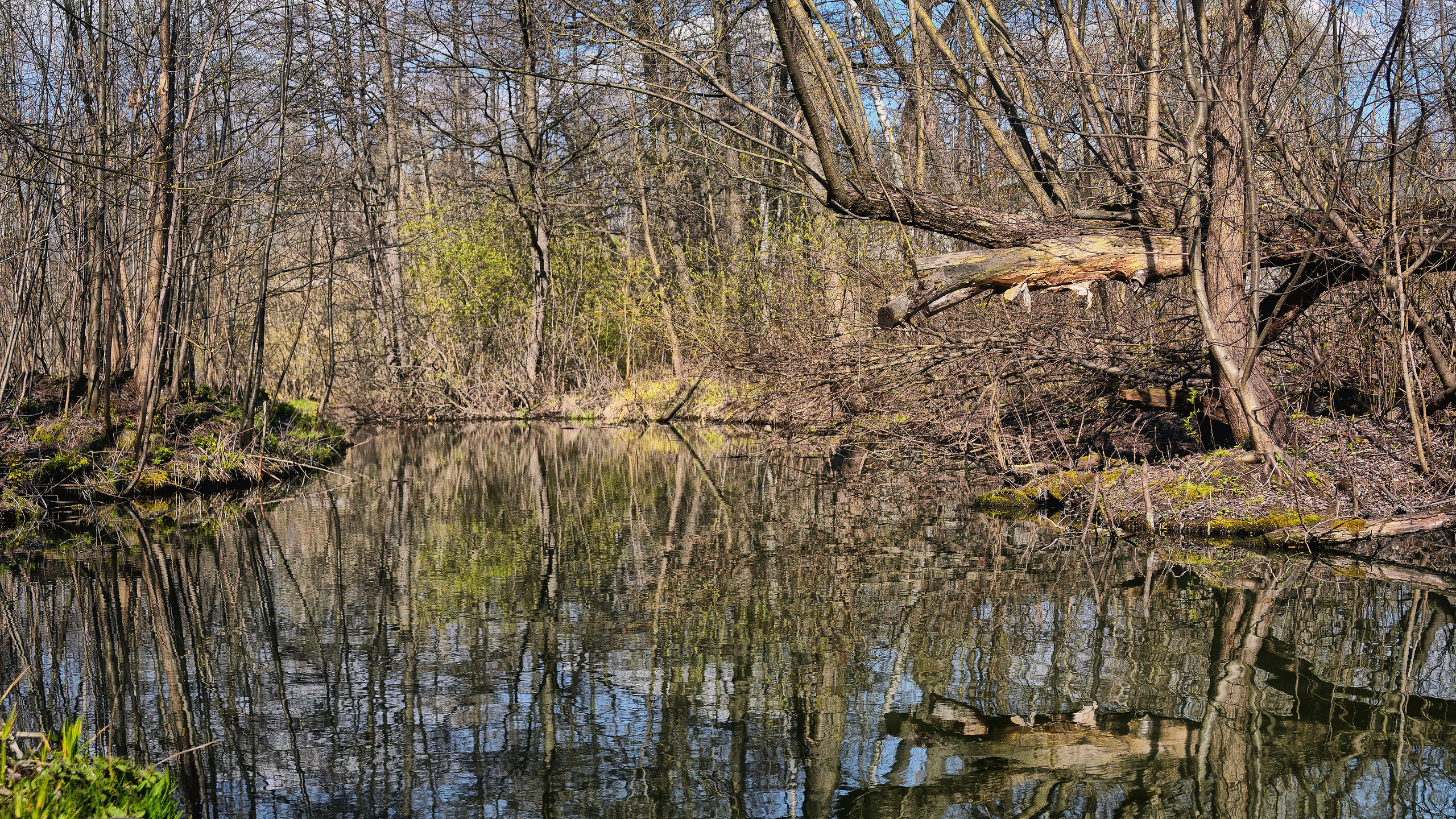 Пейзажи. Свадебный фотограф Олег Шатохин  Москва и Московской область
