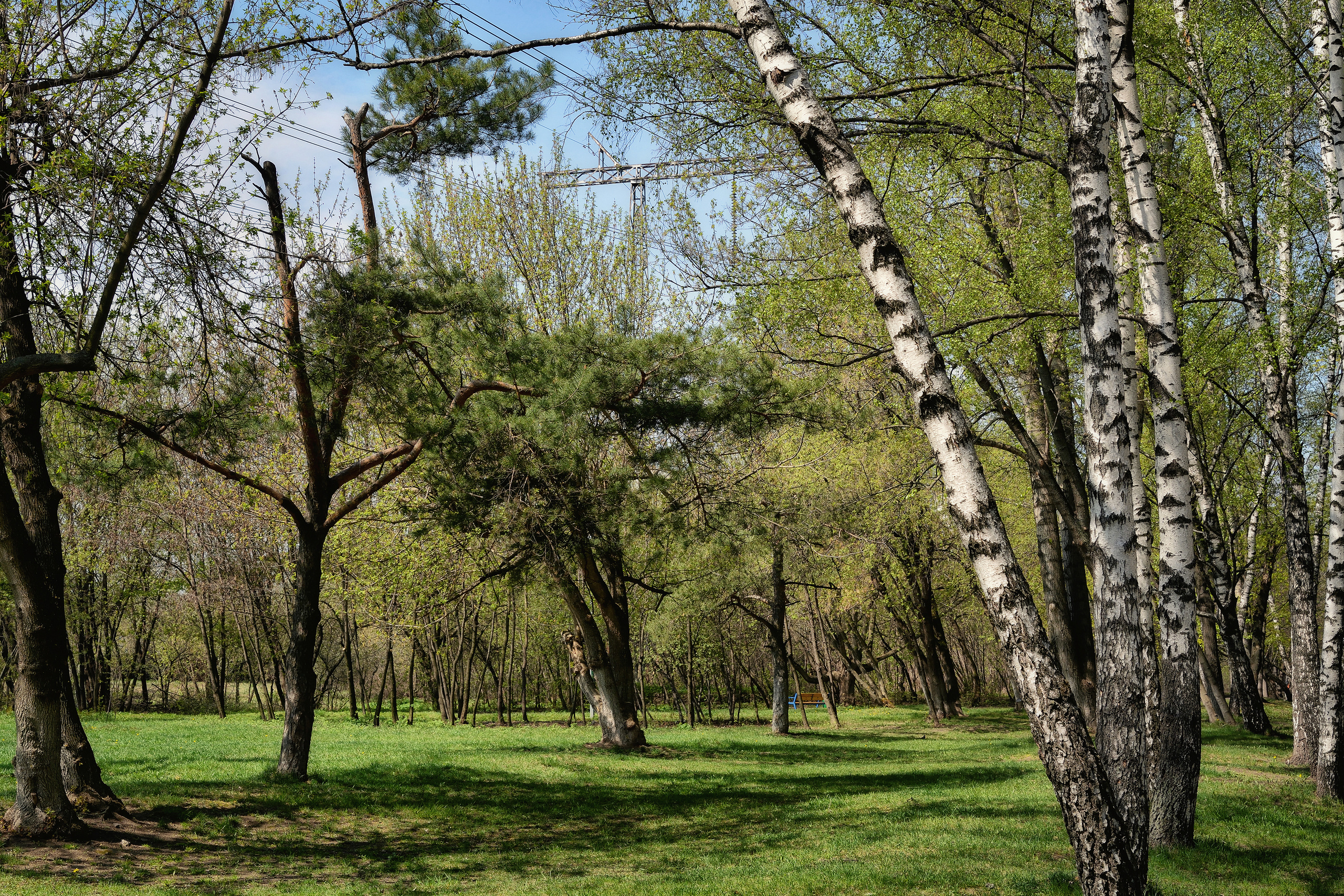 Пейзажи. Свадебный фотограф Олег Шатохин  Москва и Московской область