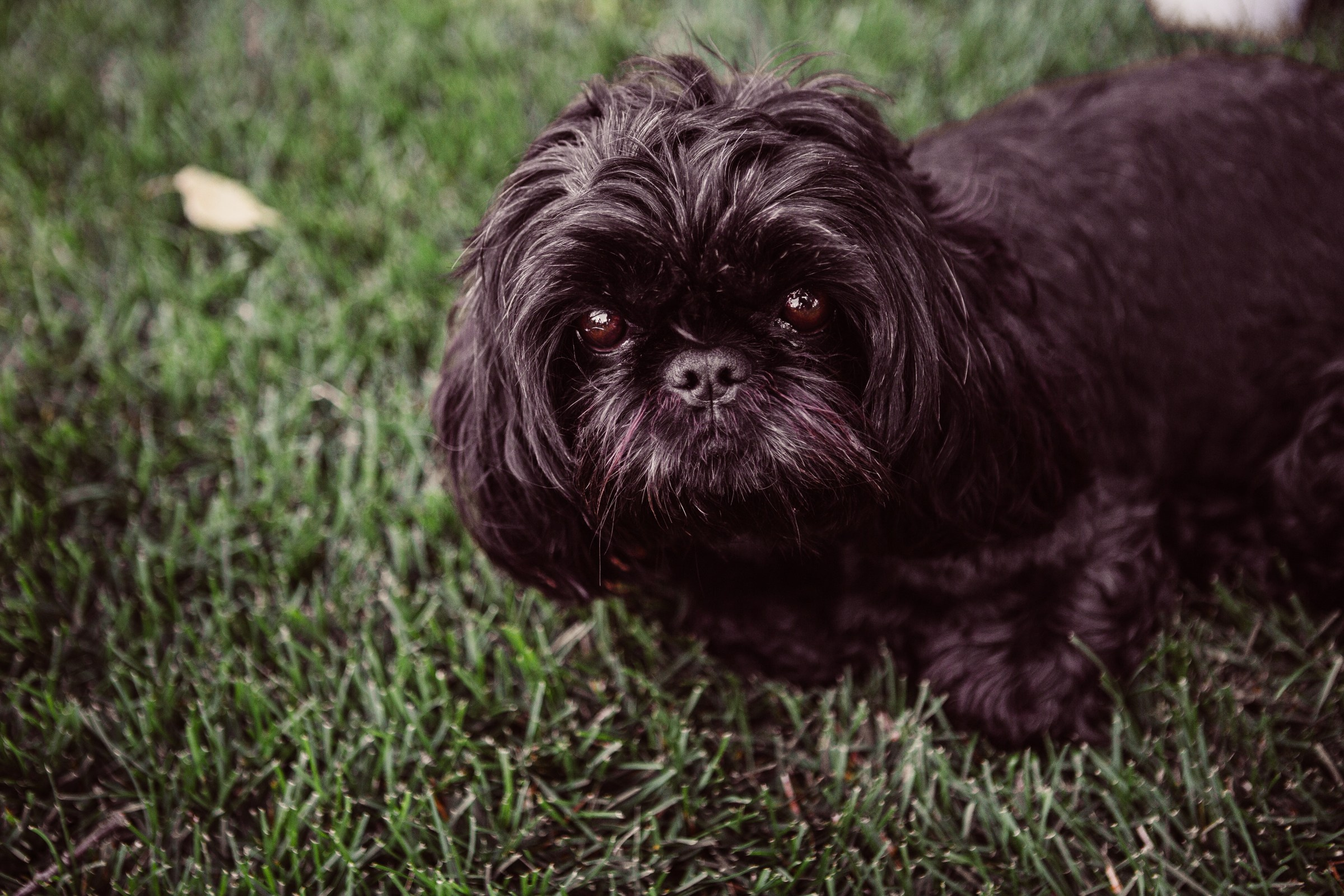 Детский репортаж. Главная