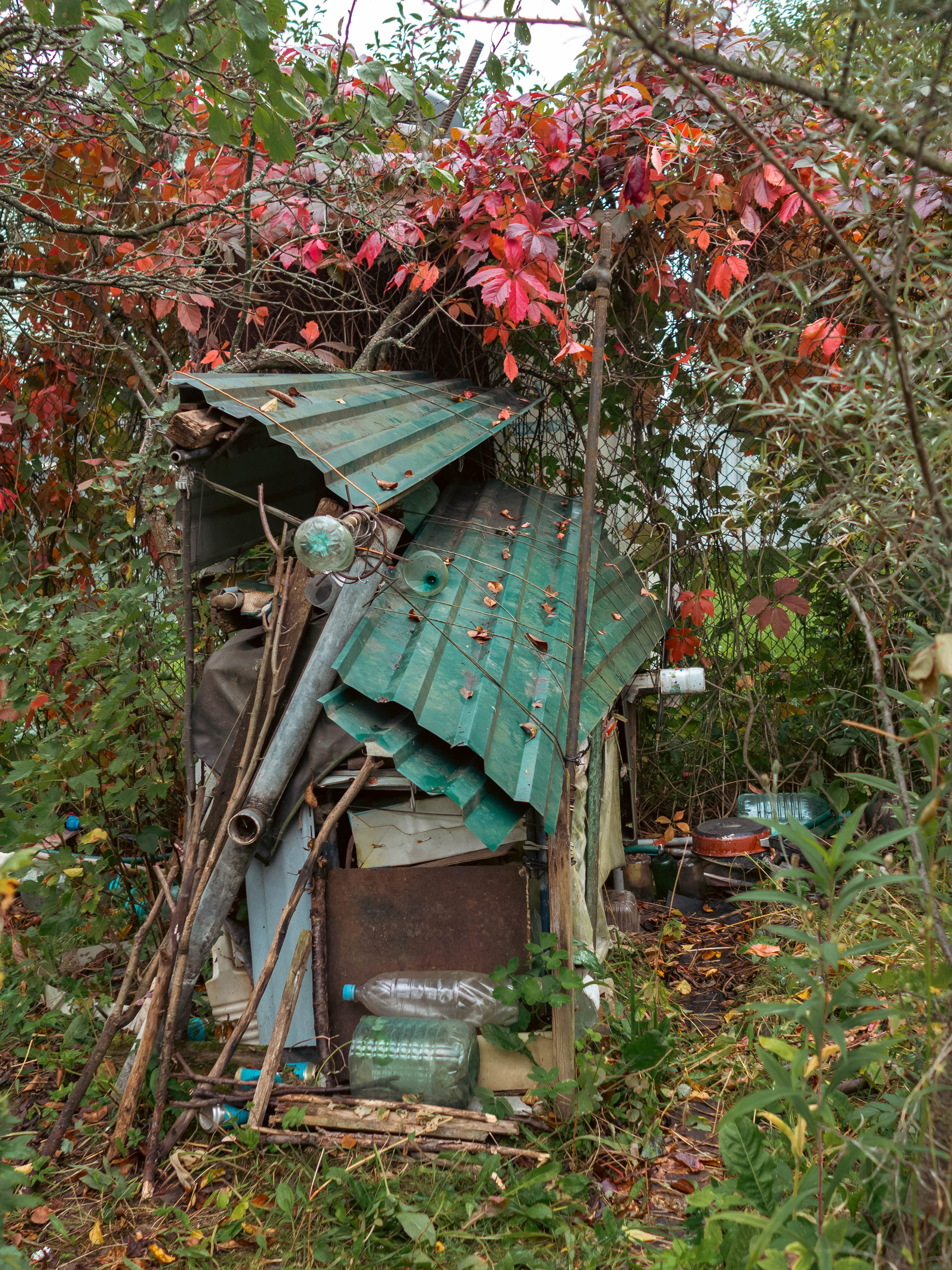 20230916 Дача. Дмитрий Ремизов. Фотография, как хобби