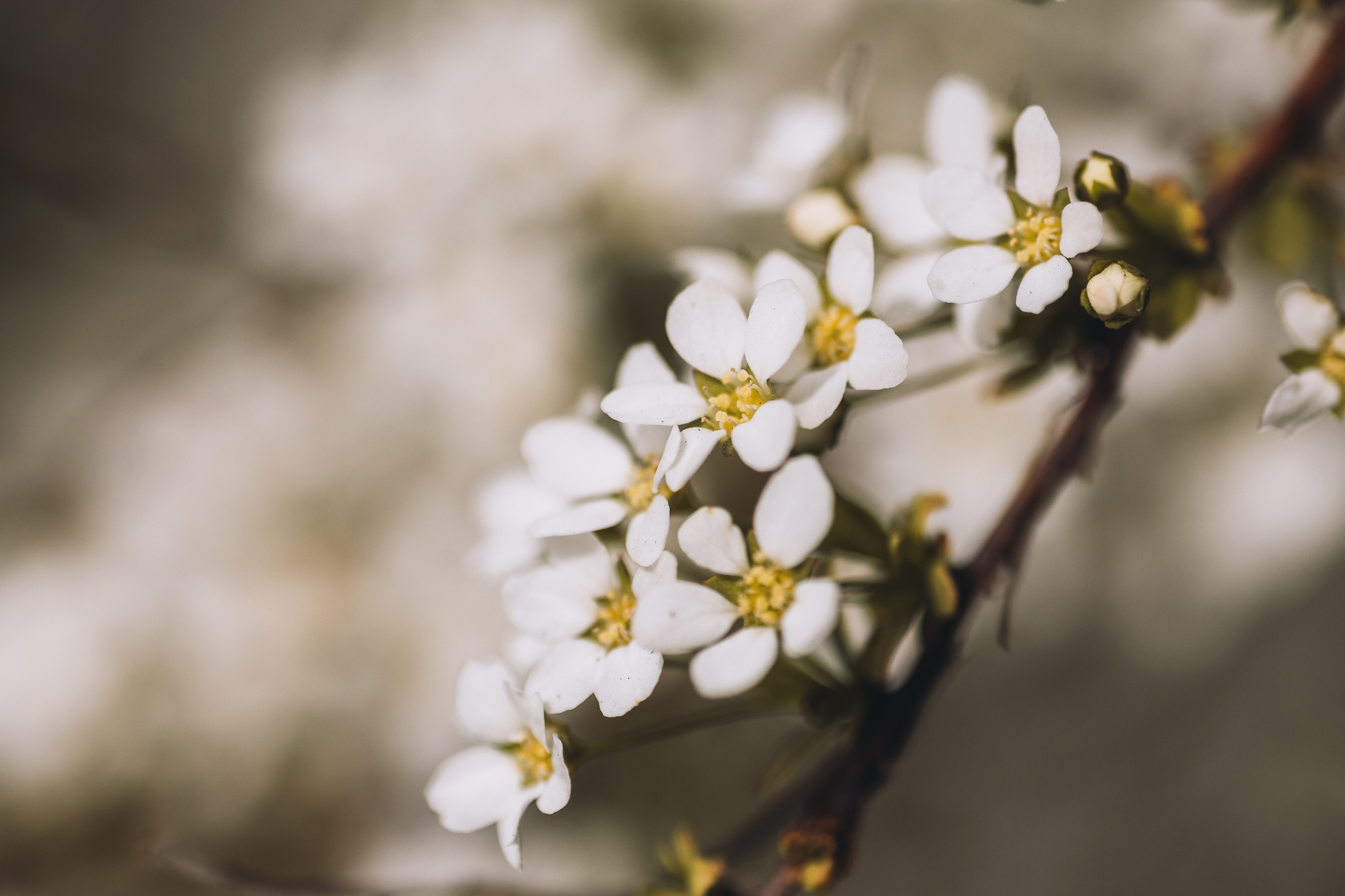 Macro. Фотограф на Юге России