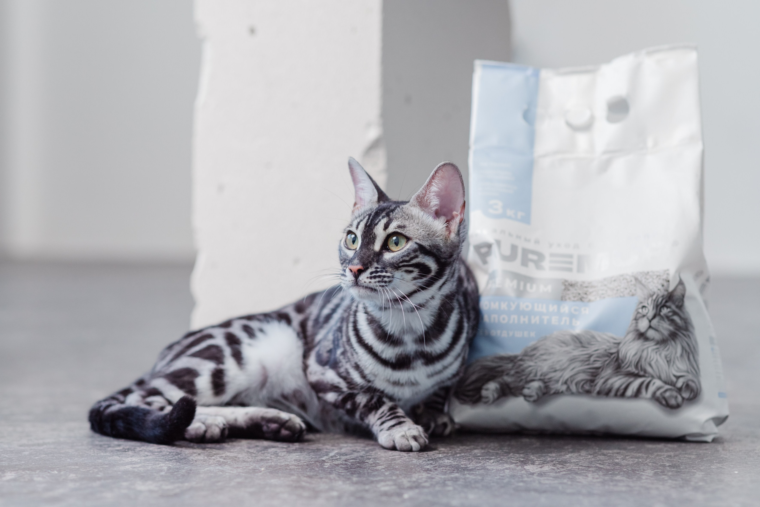 Рекламное фото. Люксмедиа — это команда фотографов и видеографов. Город Казань. Дамир Сафин