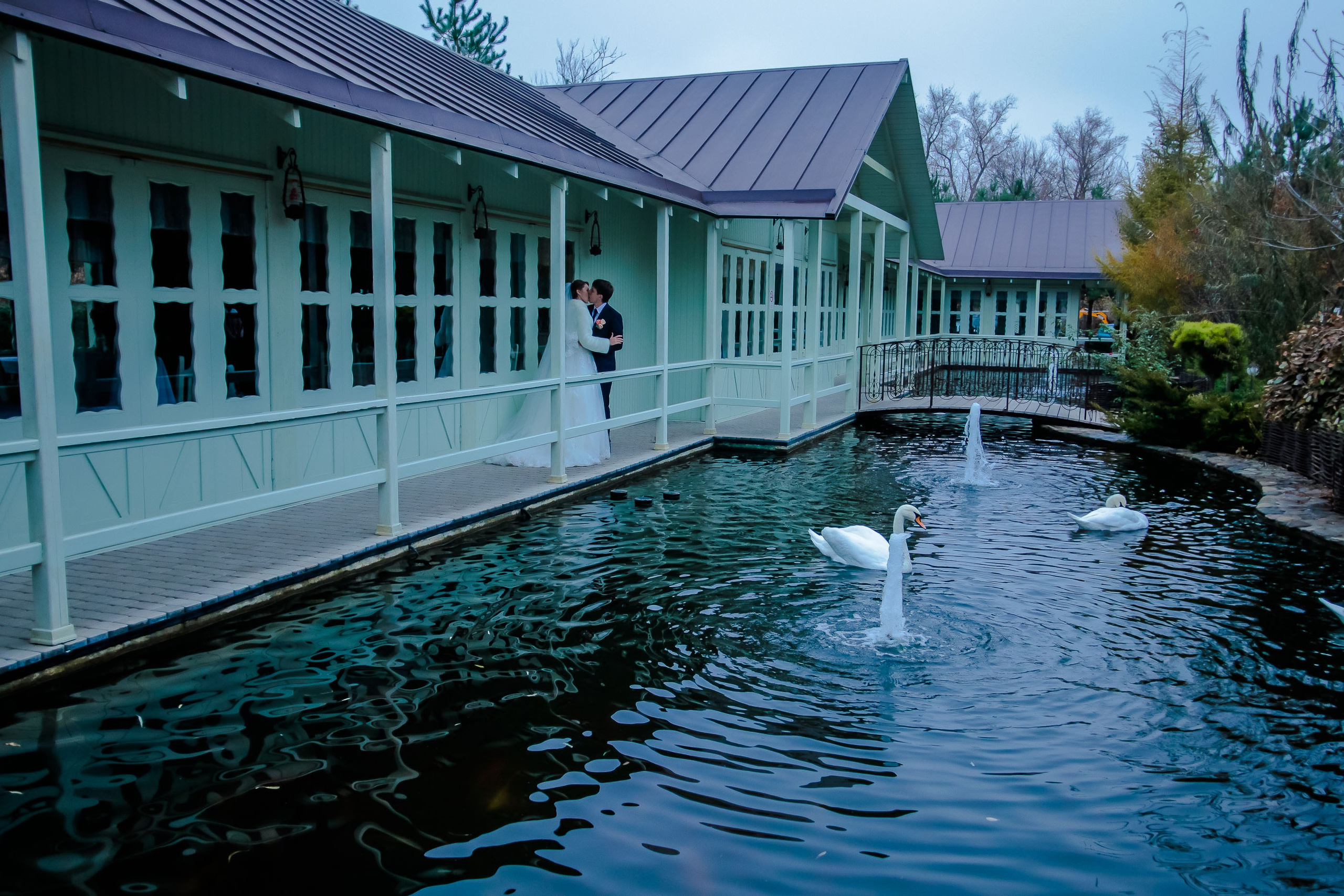 Прогулка/Walk. Максим Матвийченко и Виктория Басова профессионалы своего дела