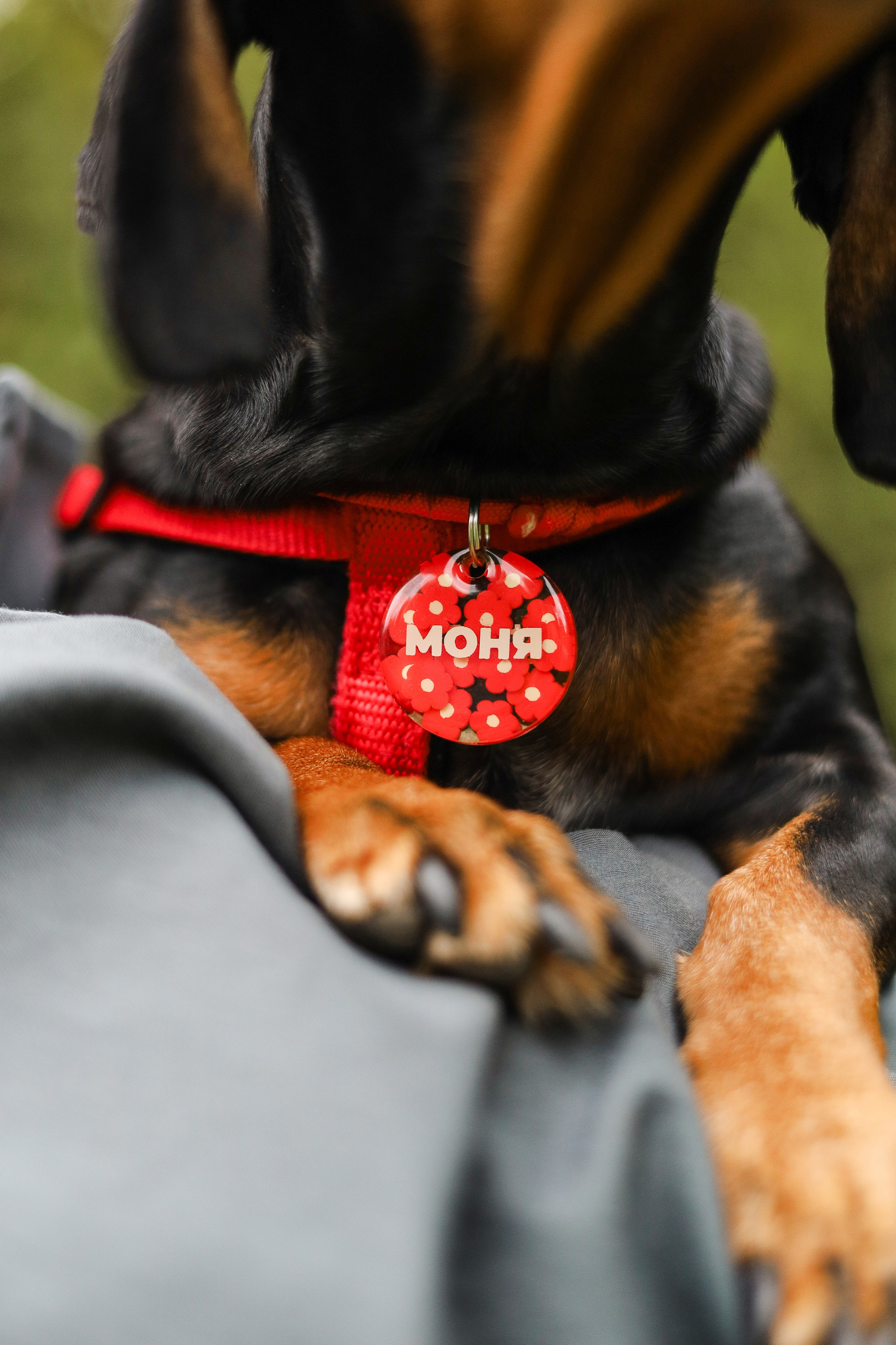 Моня и Оля. Фотограф-анималист Ксения Шевцова|Москва